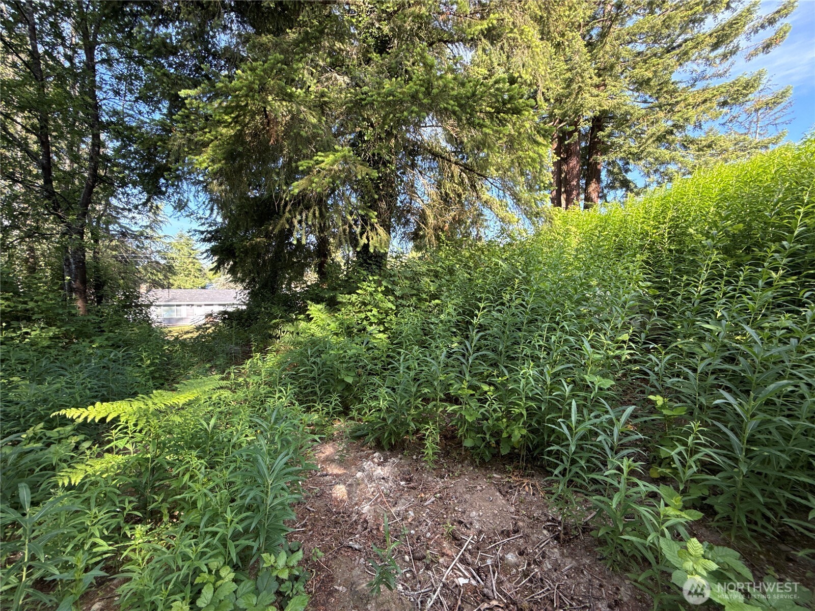 2229 97th Street Property Photo 8