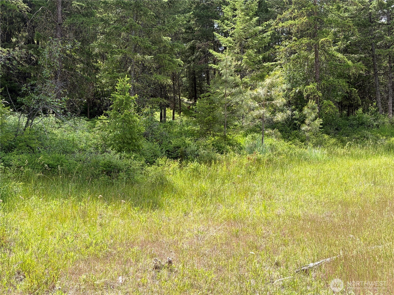 33 Outback Road Property Photo 11