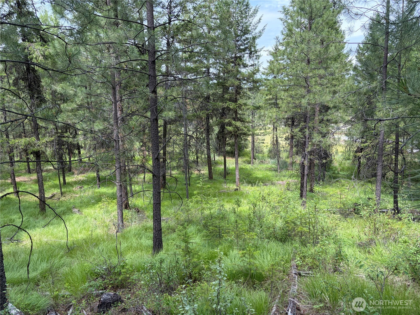 33 Outback Road Property Photo 12