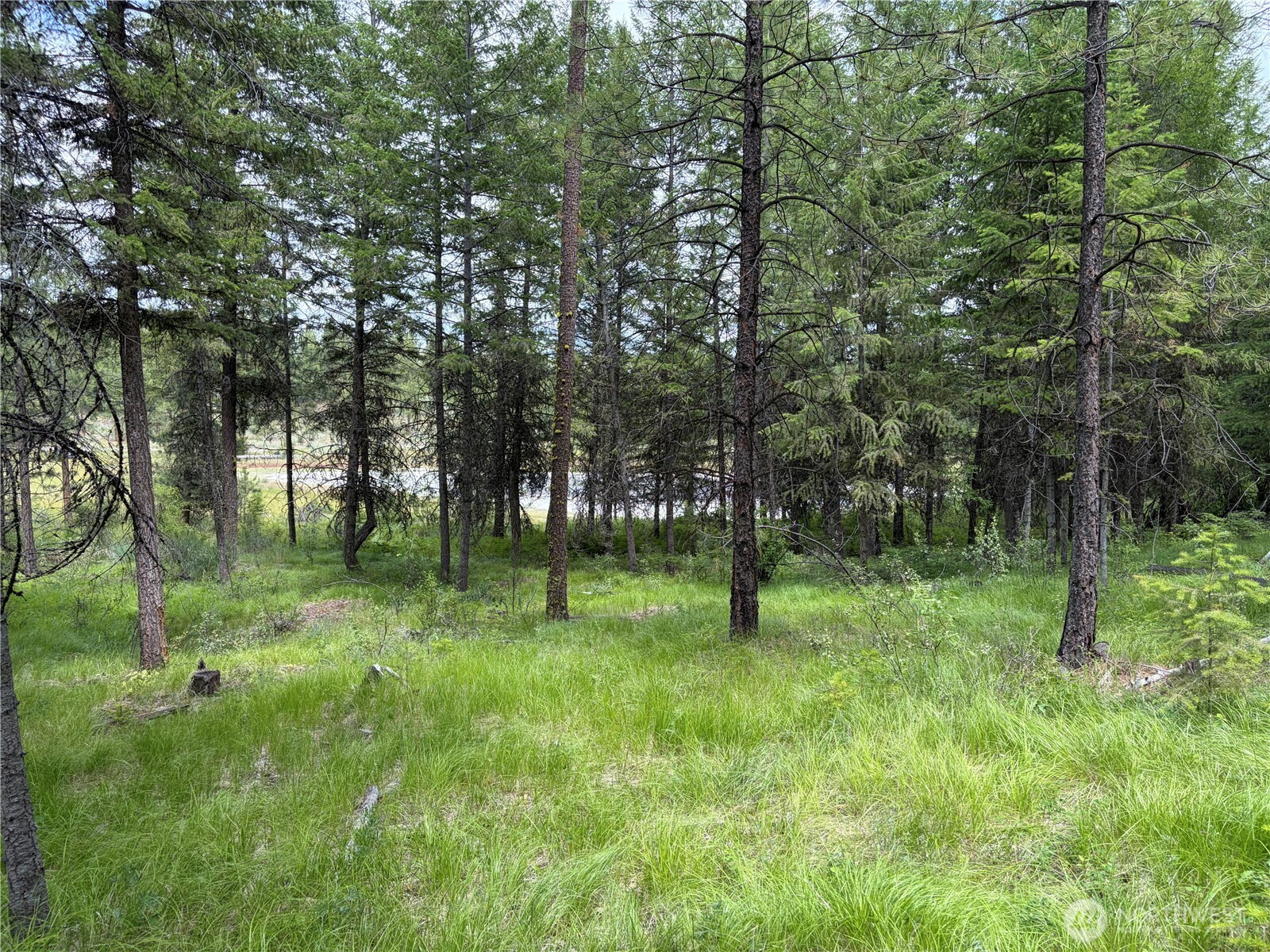 33 Outback Road Property Photo 13