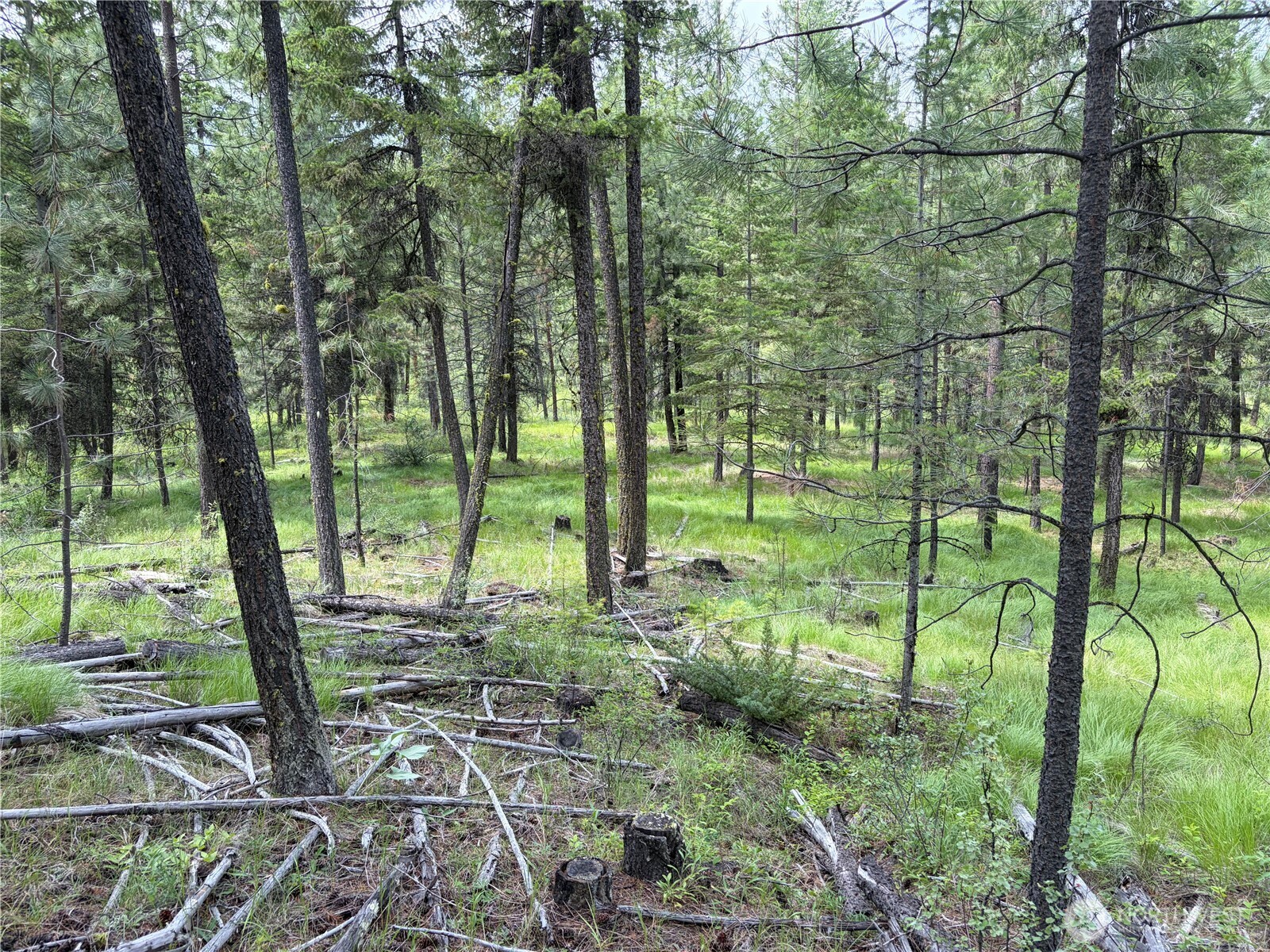 33 Outback Road Property Photo 14