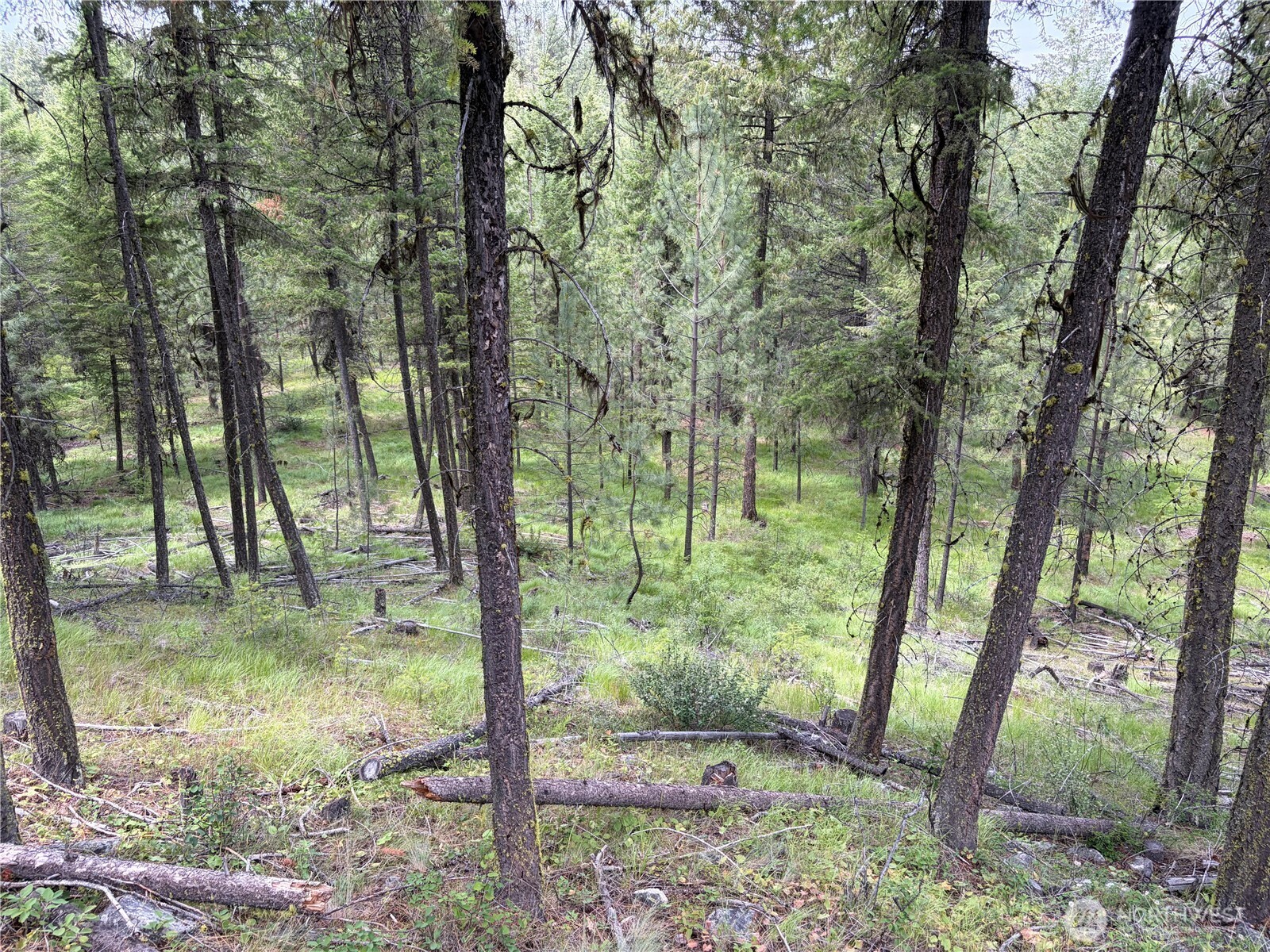 33 Outback Road Property Photo 15