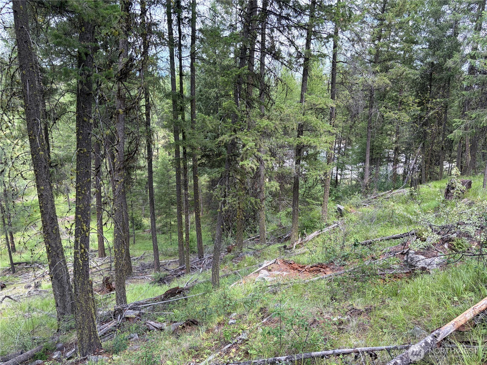 33 Outback Road Property Photo 16