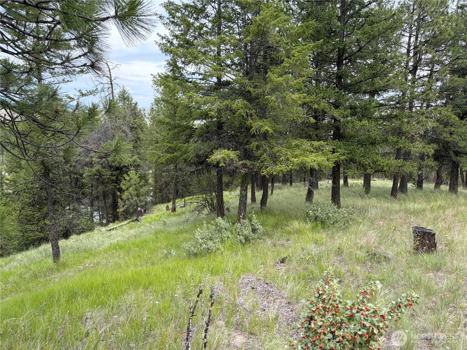 33 Outback Road Property Photo 17