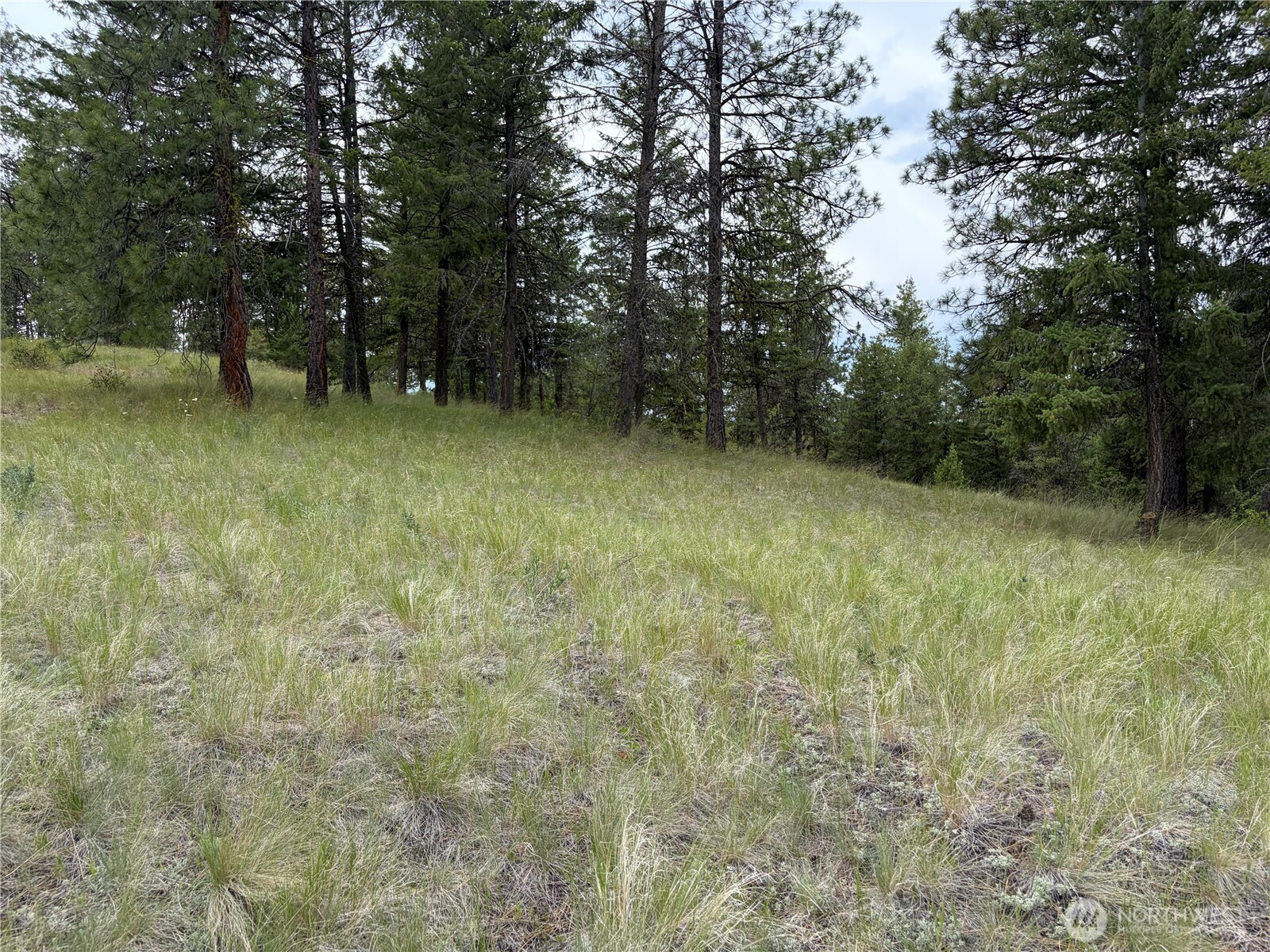 33 Outback Road Property Photo 21