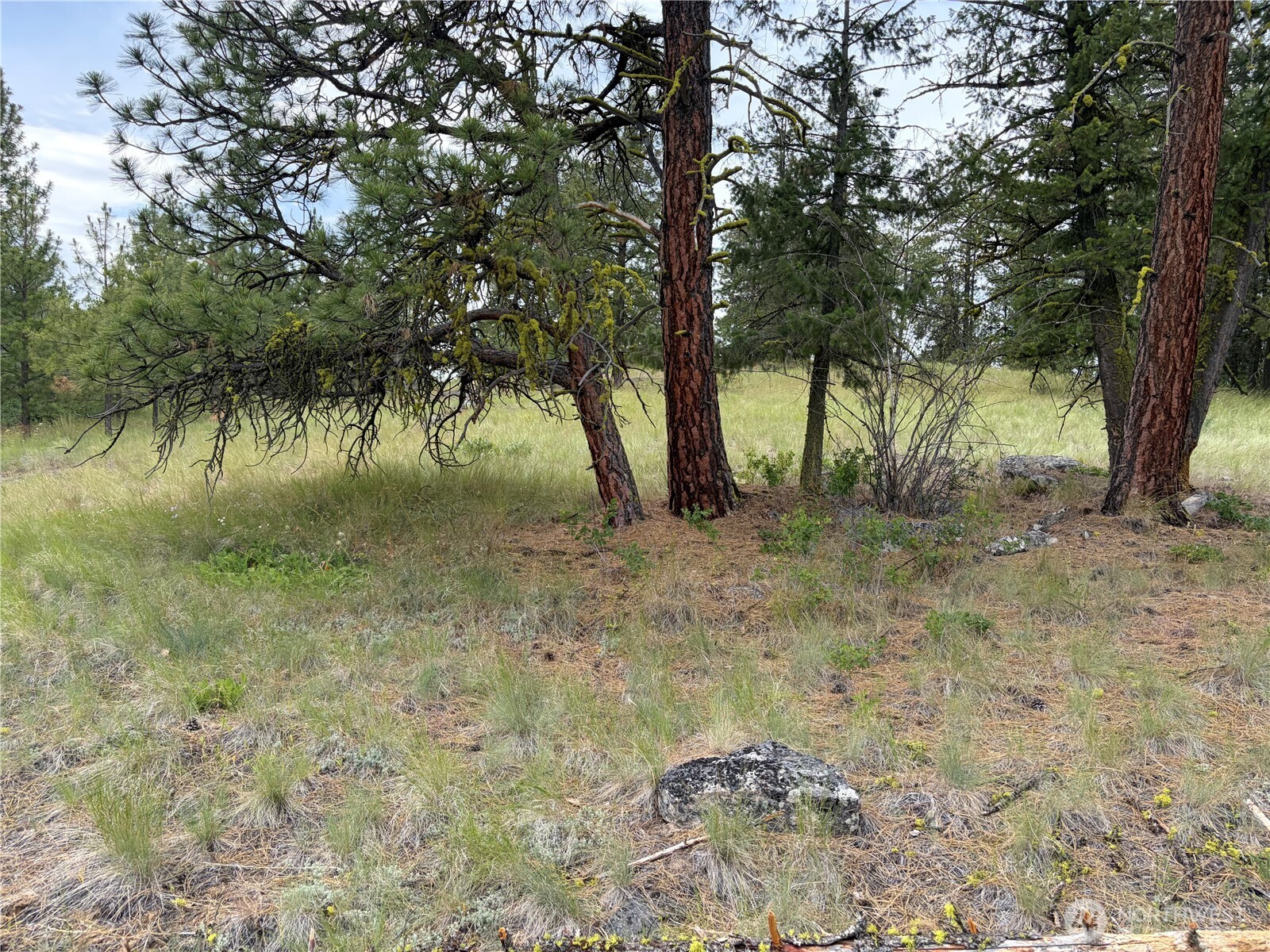 33 Outback Road Property Photo 22