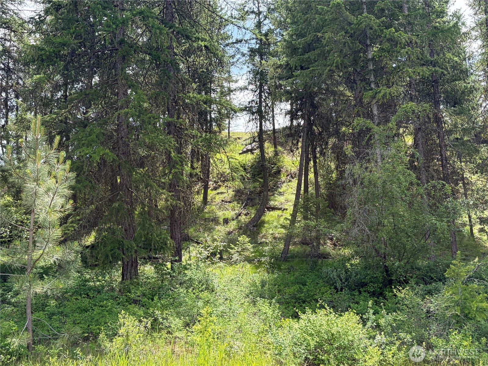 33 Outback Road Property Photo 25