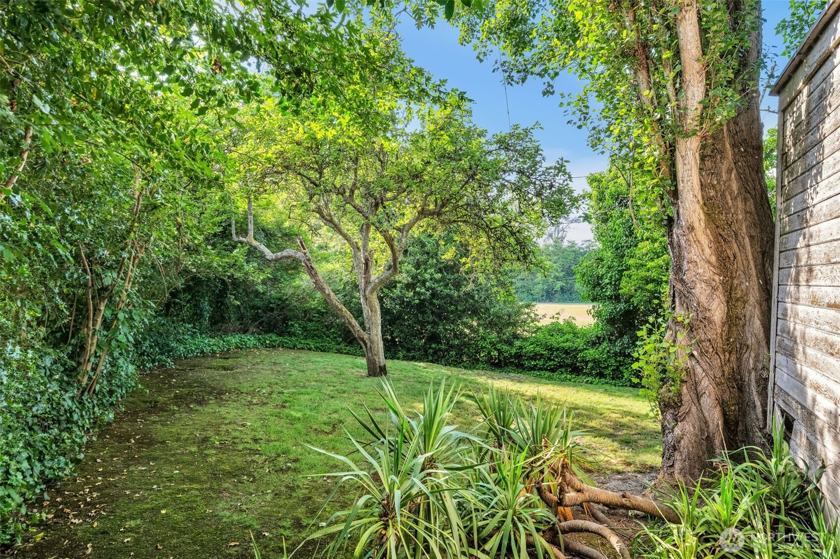 434 N Borough Road Property Photo 40