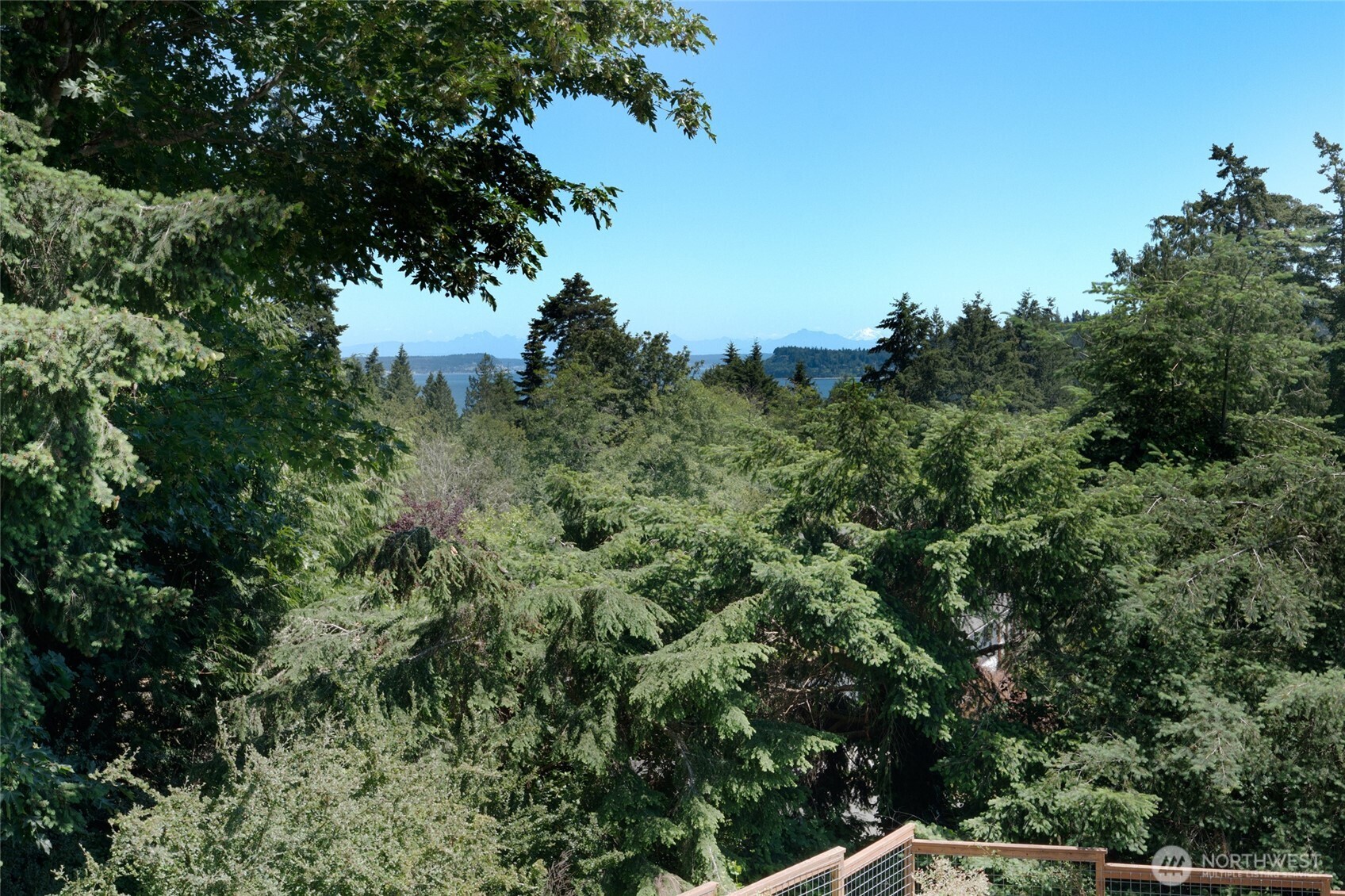111 Gamble Lane Property Photo 19