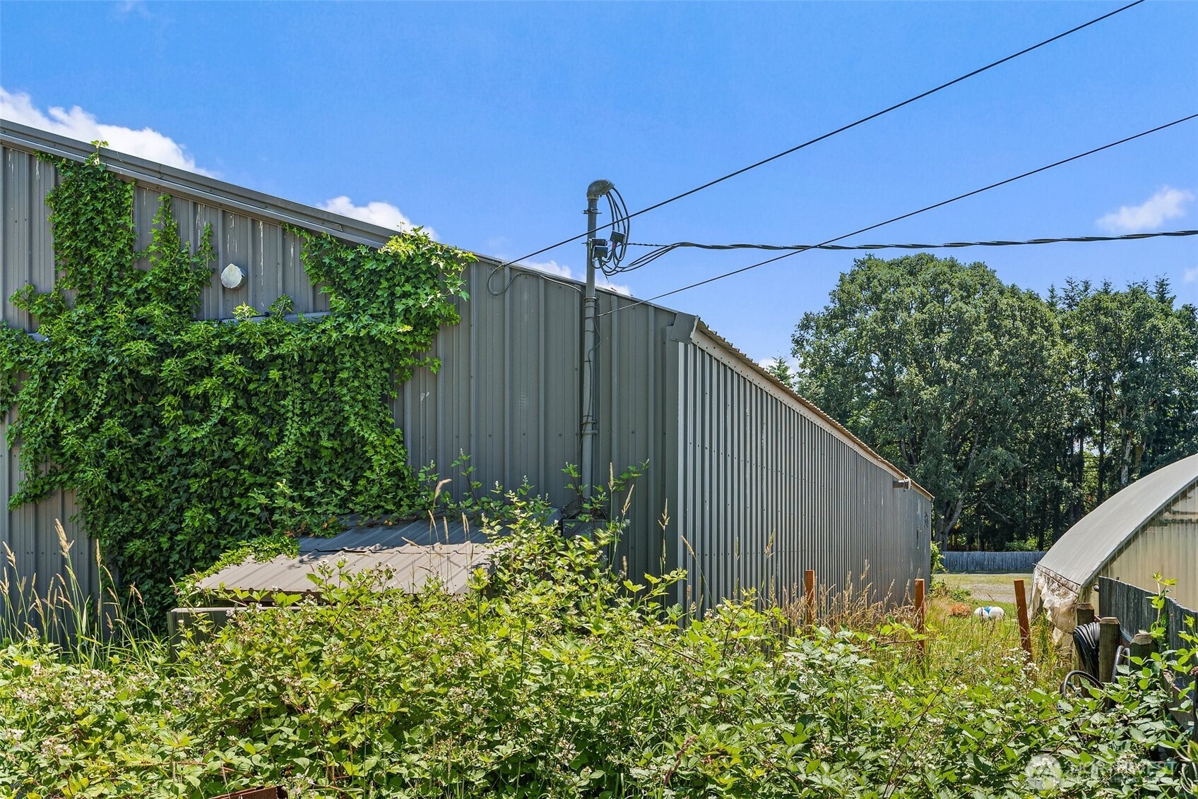 3605 Jackson Highway Property Photo 31