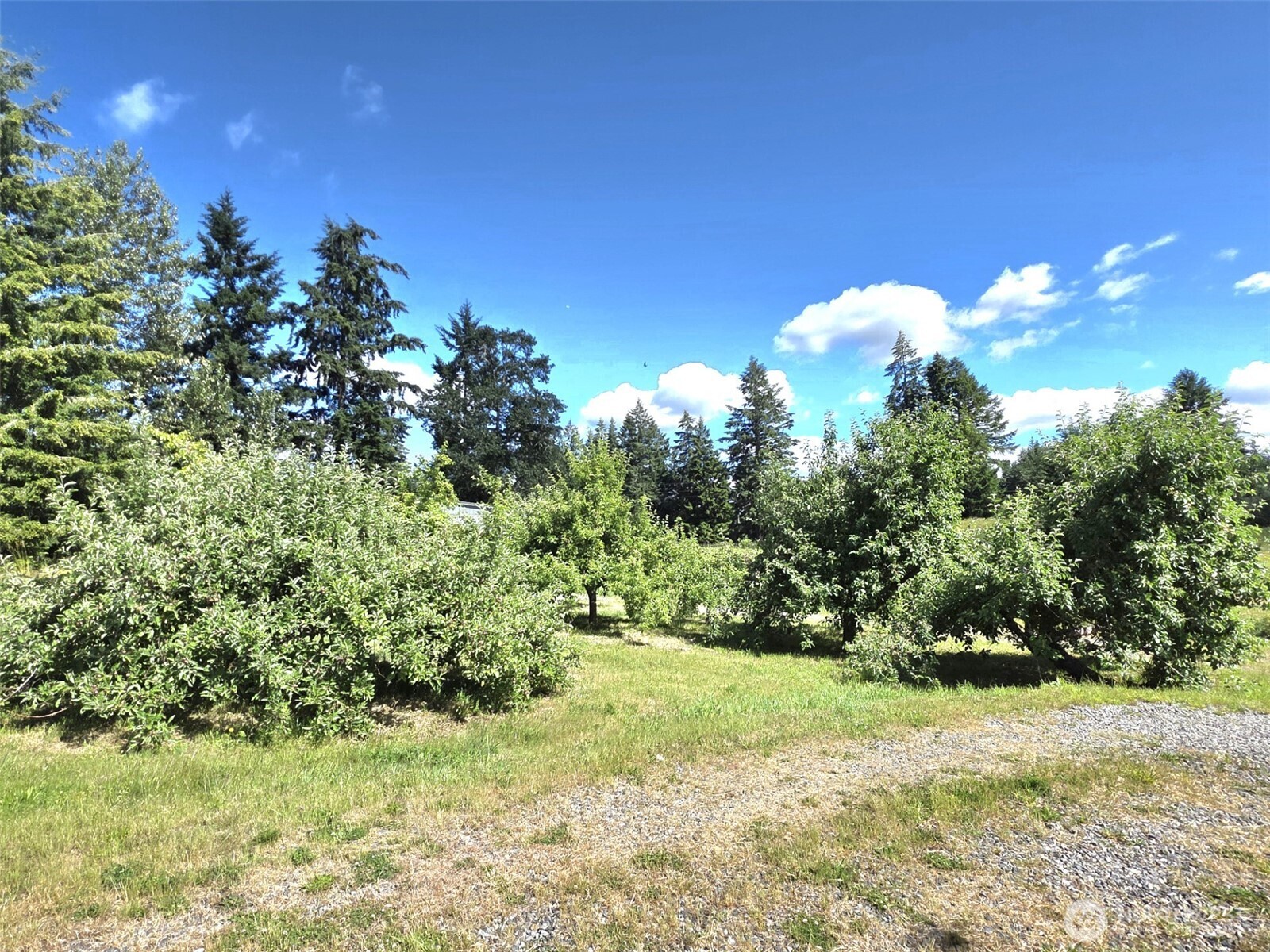 11916 Fillman Road Property Photo 30