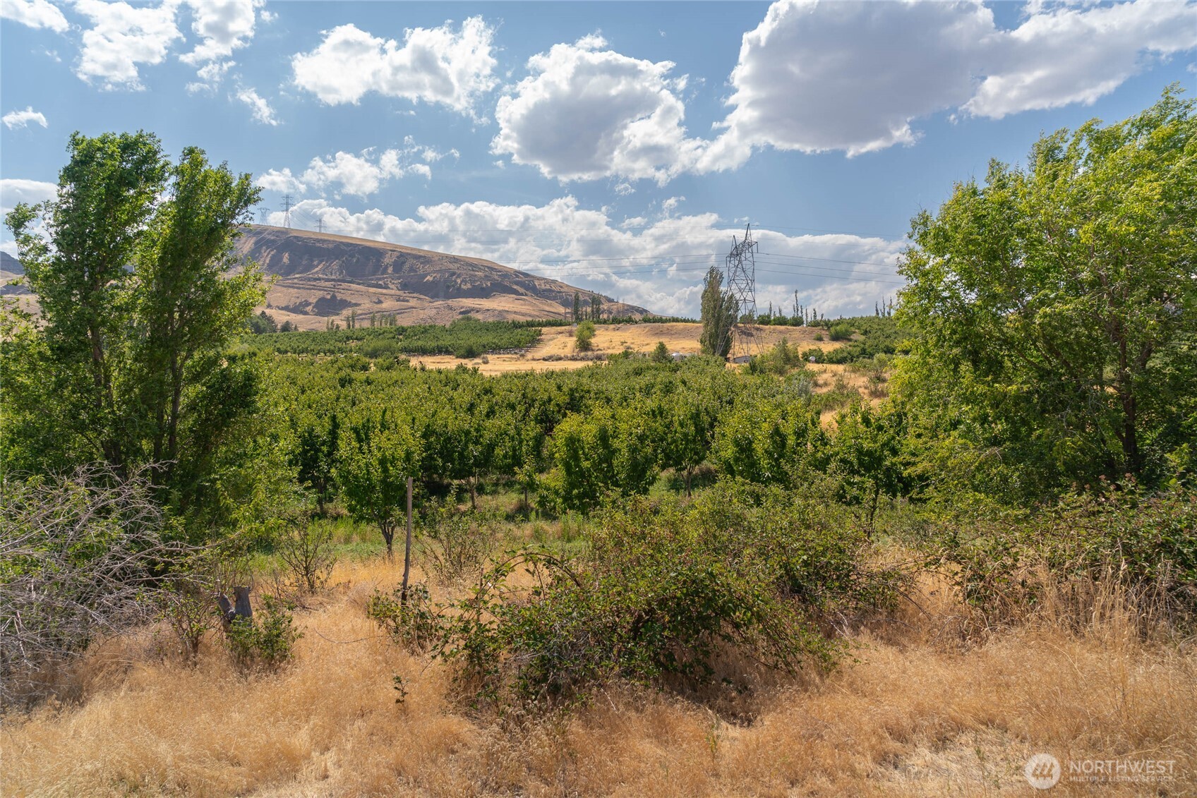 7199 Lot 6 Tarpiscan Road Property Photo 3