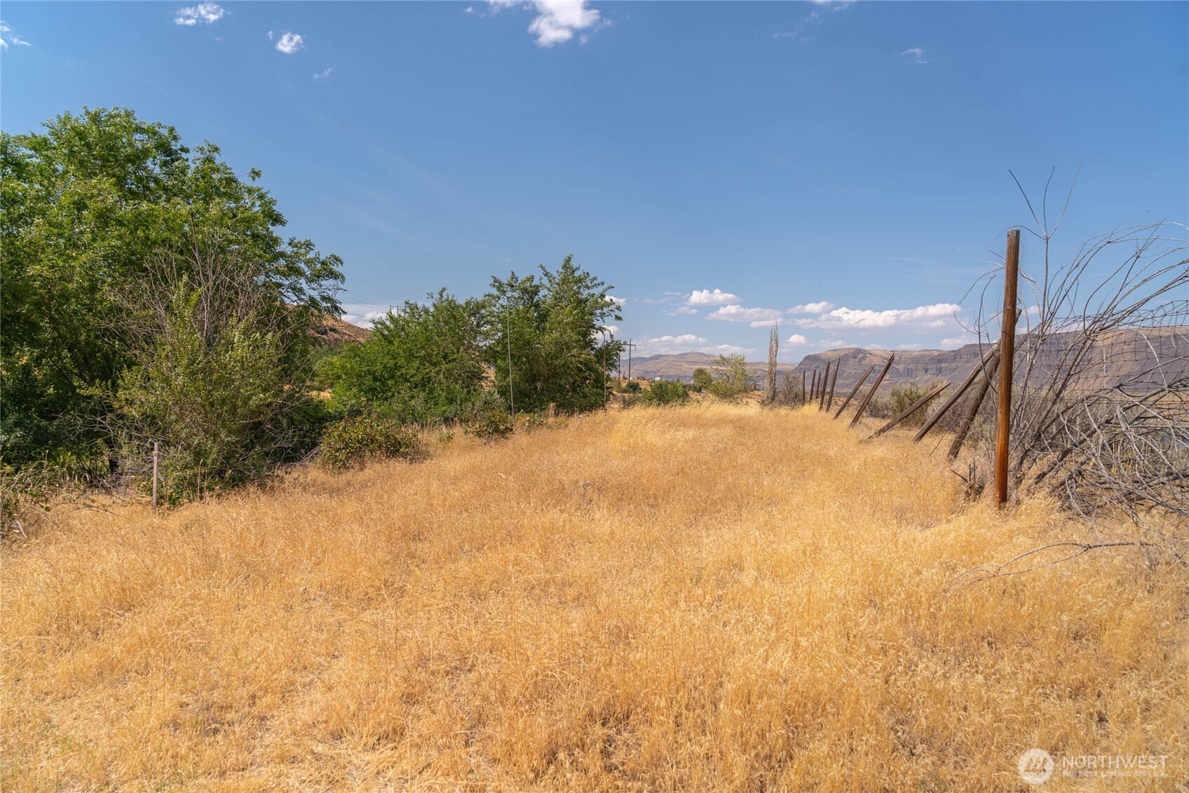 7199 Lot 6 Tarpiscan Road Property Photo 4