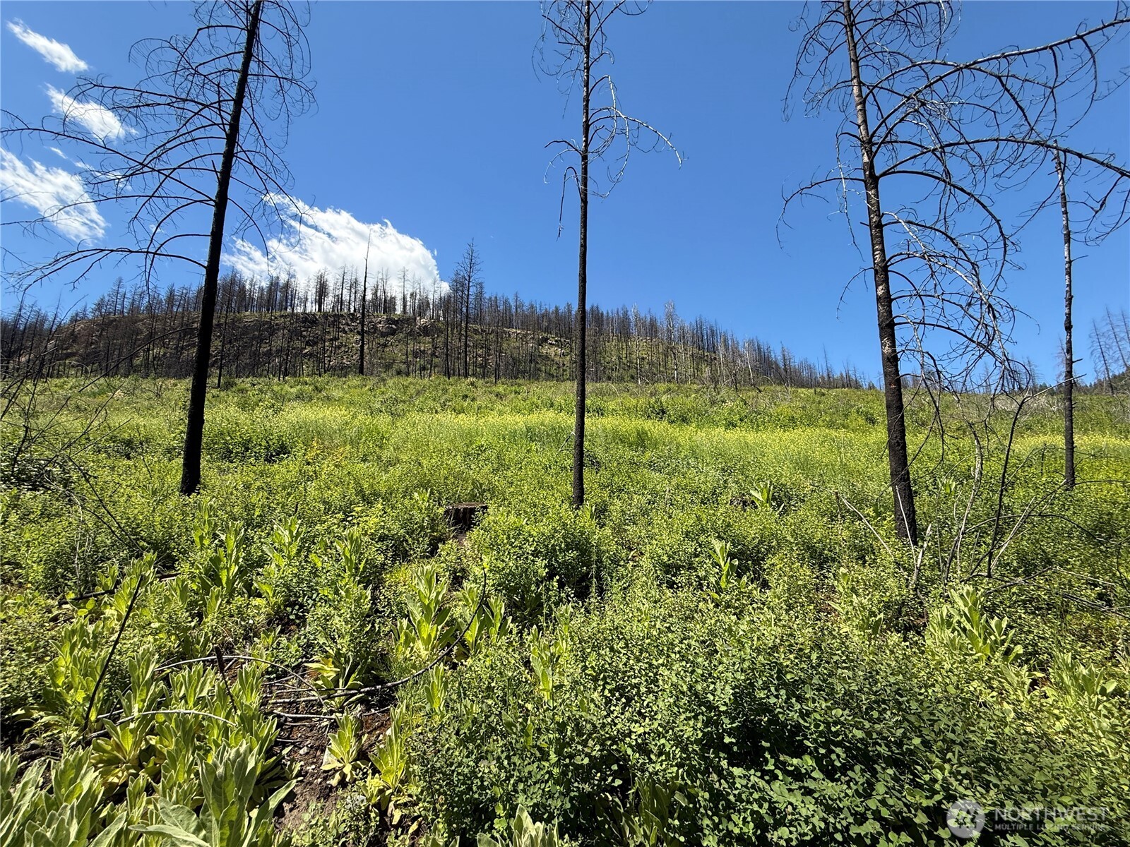 0 Lot 32 4th Of July Creek Road Property Photo 1