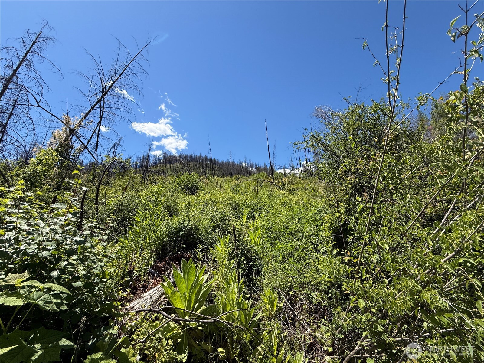 0 Lot 32 4th Of July Creek Road Property Photo 12