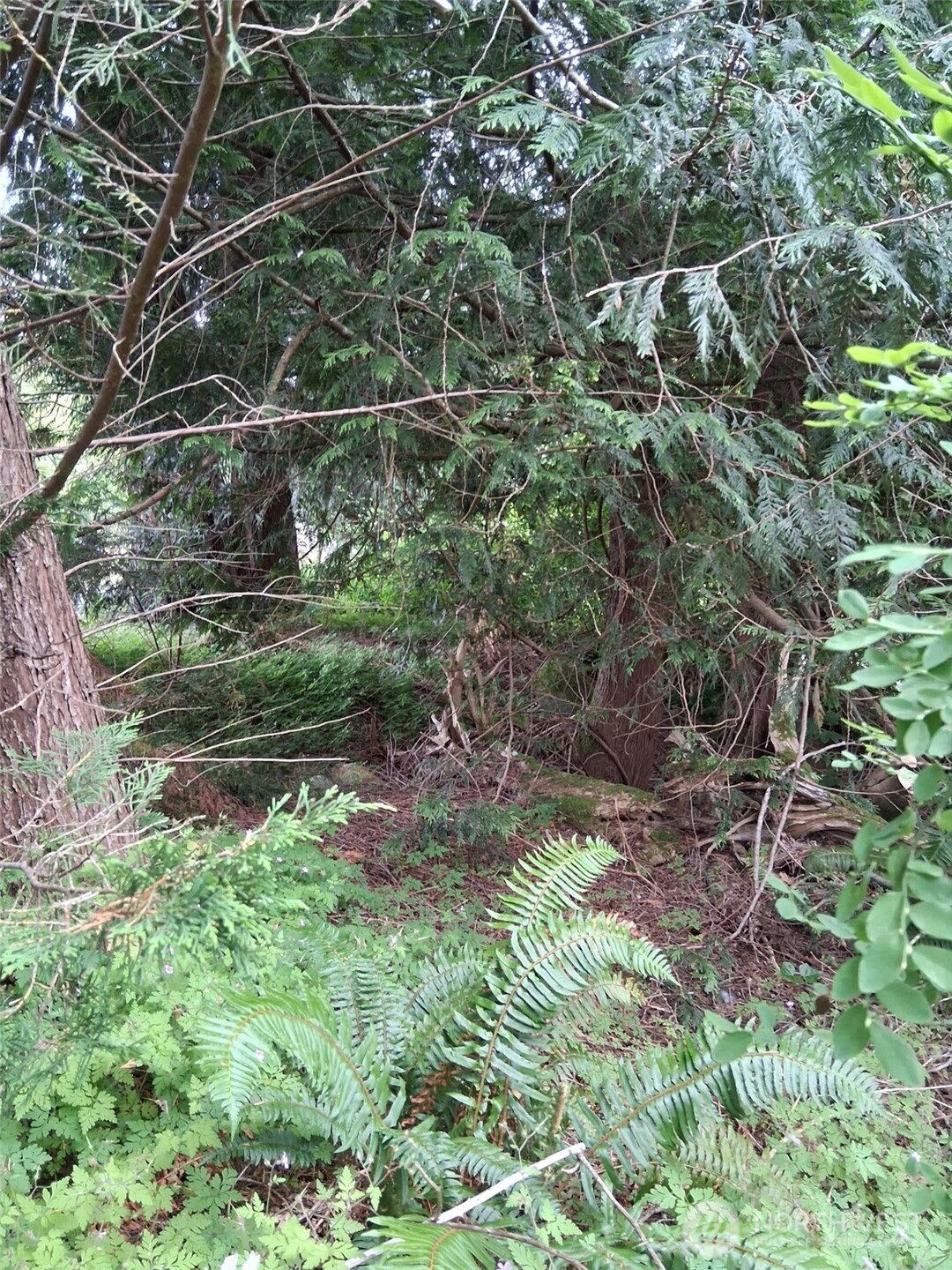 12 353rd Avenue Property Photo 3