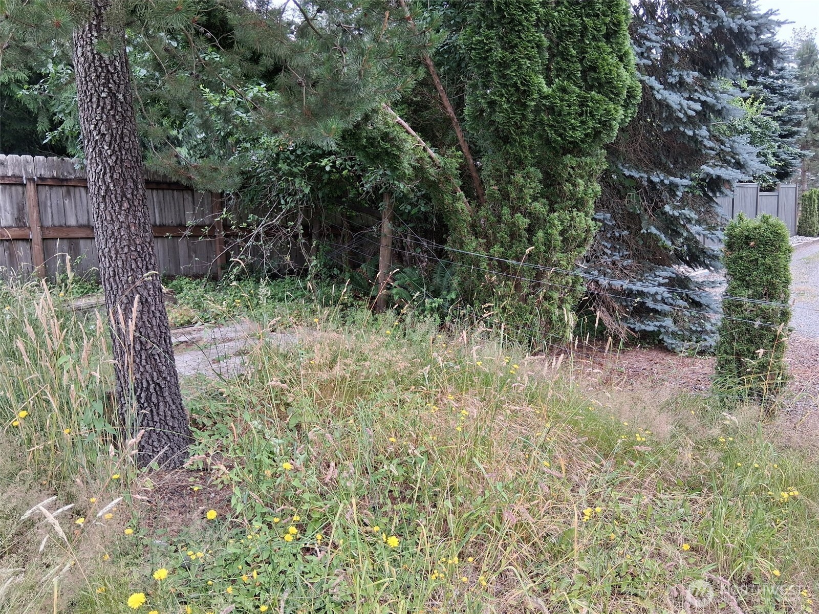 12 353rd Avenue Property Photo 4