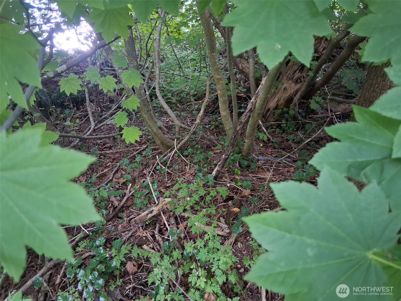 12 353rd Avenue Property Photo 6