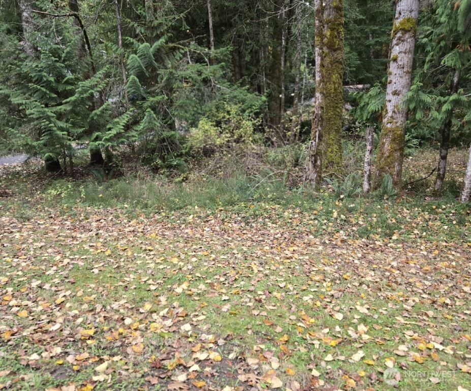8 Huckleberry Court Property Photo 1