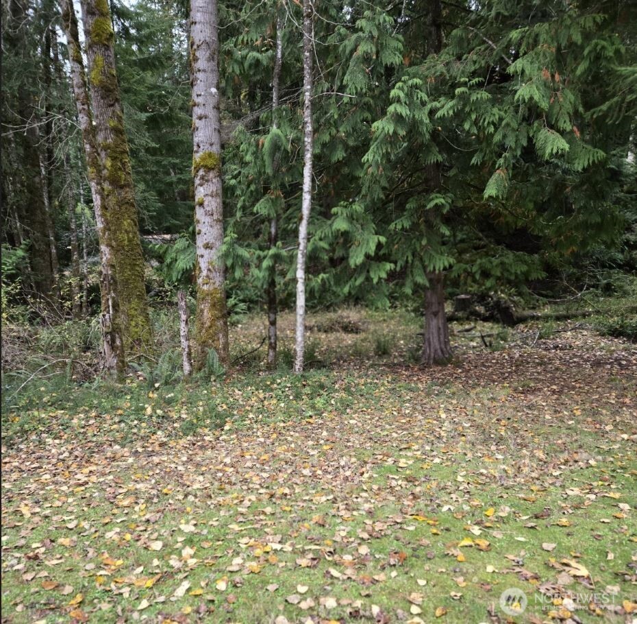 8 Huckleberry Court Property Photo 3