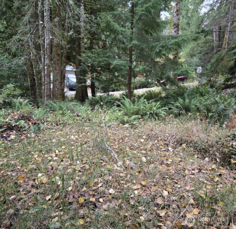 8 Huckleberry Court Property Photo 5