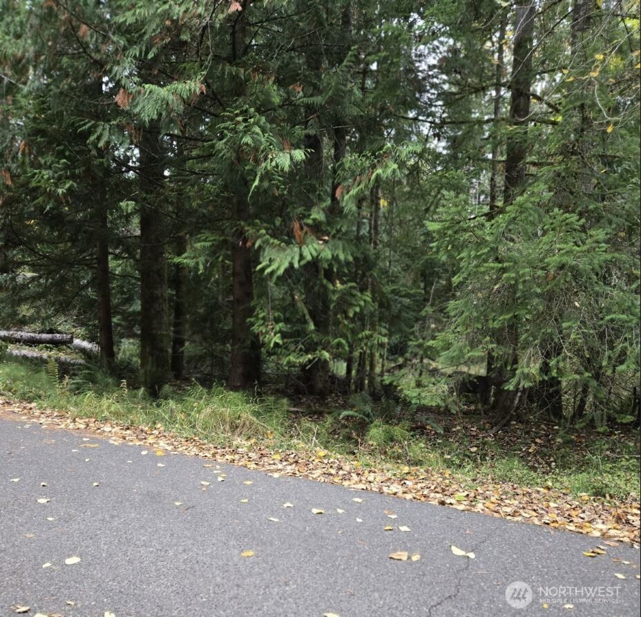 8 Huckleberry Court Property Photo 6