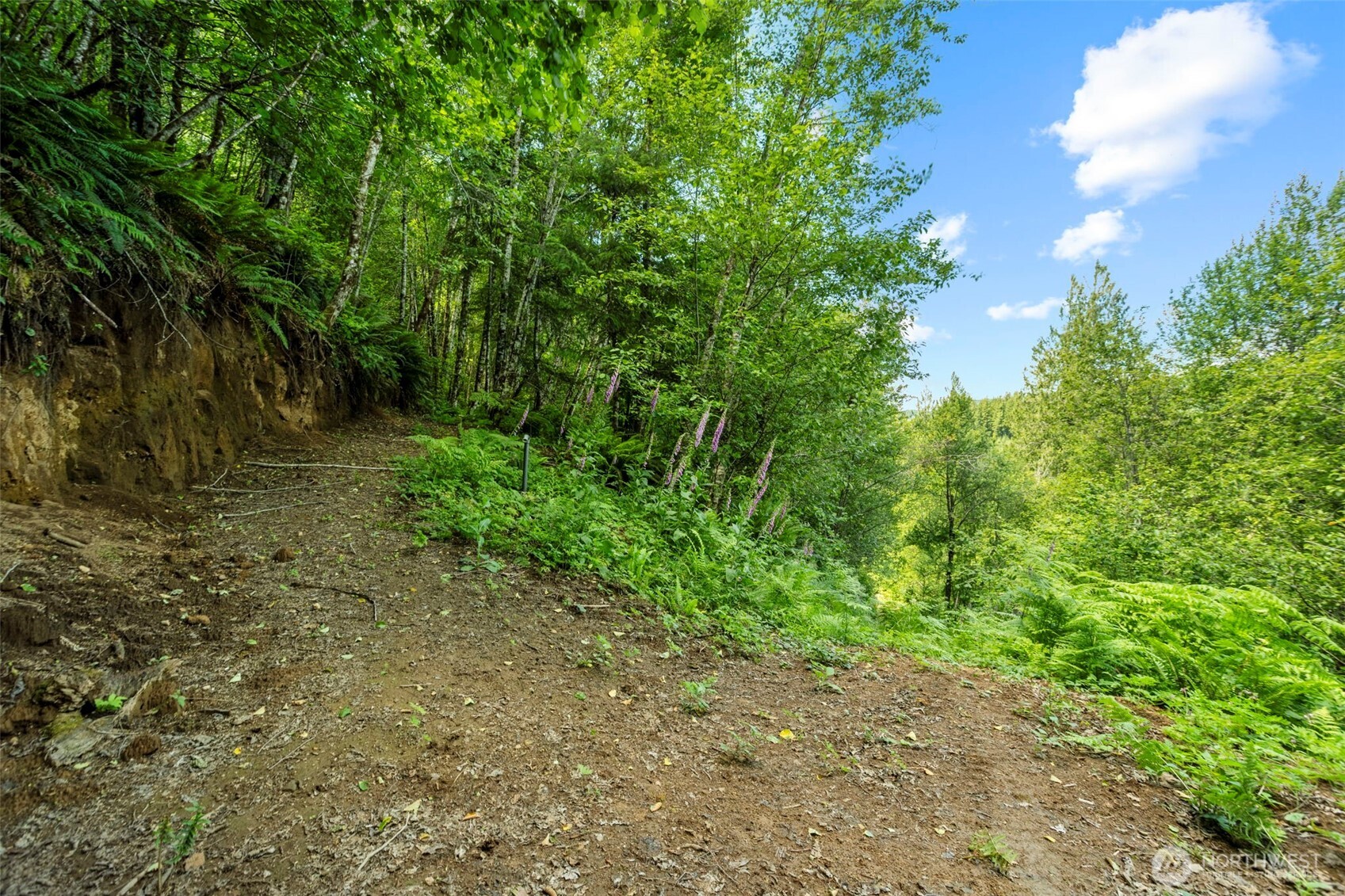 19005 Ne Buncombe Hollow Road Property Photo 31