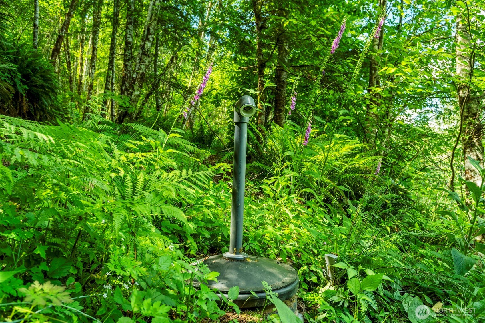 19005 Ne Buncombe Hollow Road Property Photo 33
