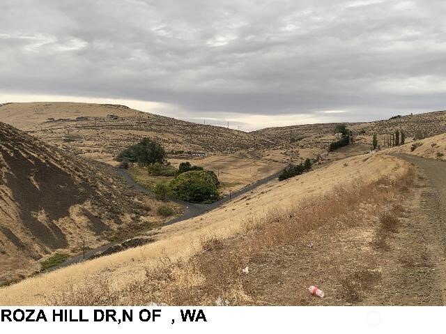 0 N Roza Hill Drive Property Photo 3