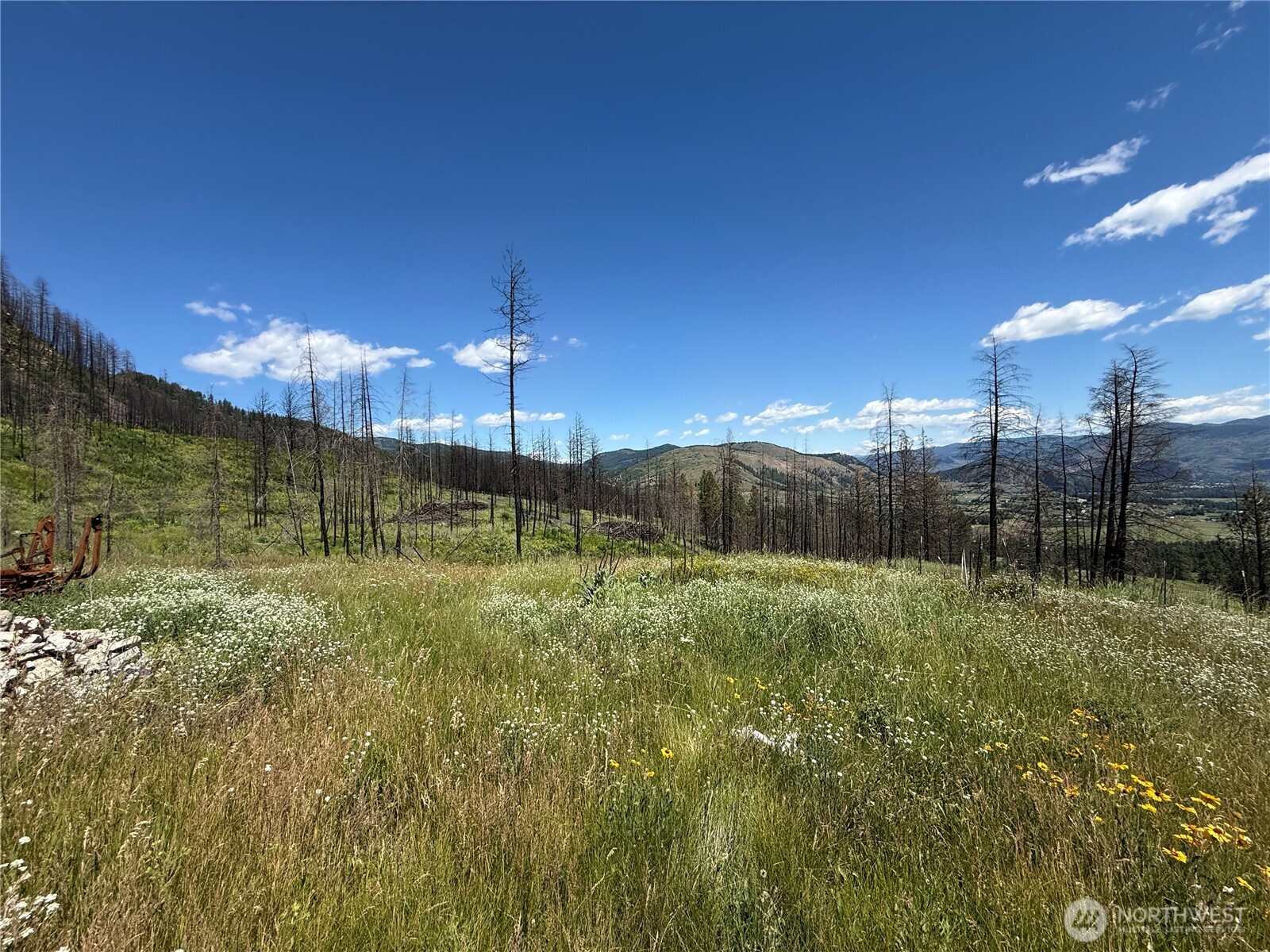 367 4th Of July Creek Road Property Photo 1