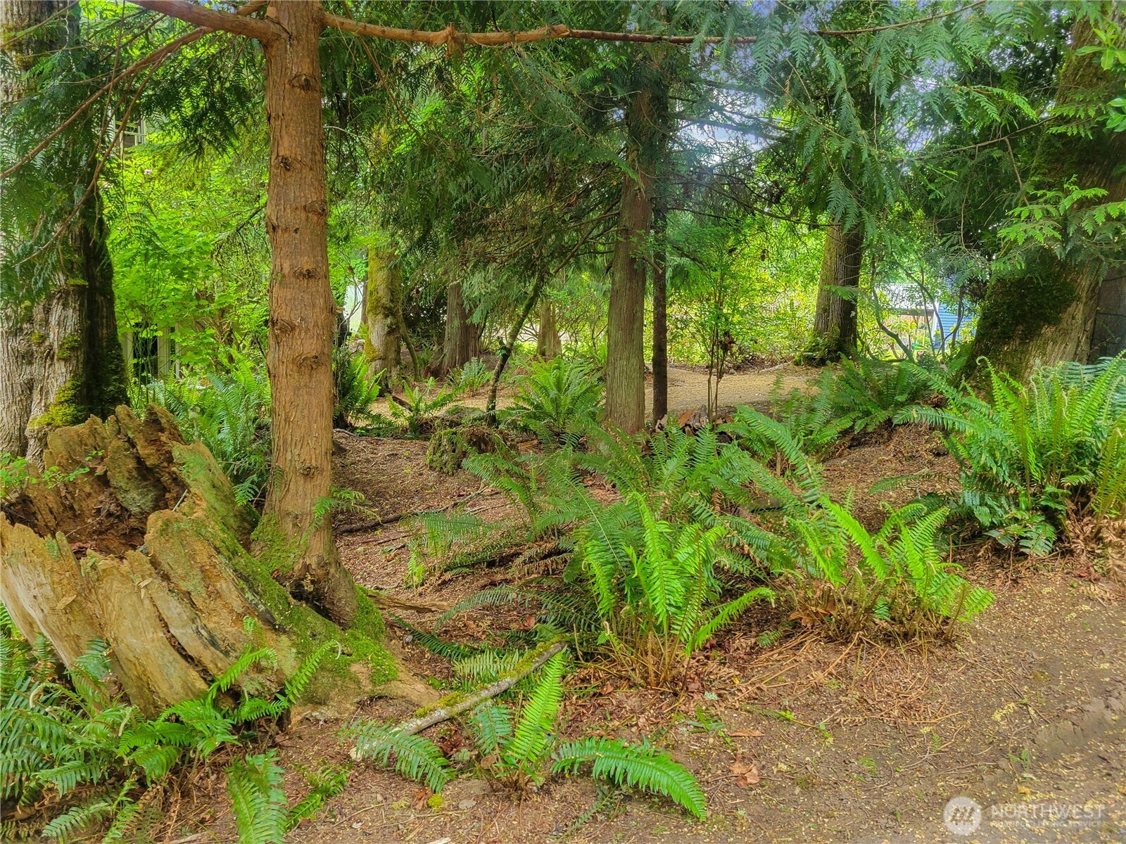 101 Fleet Drive Property Photo 7