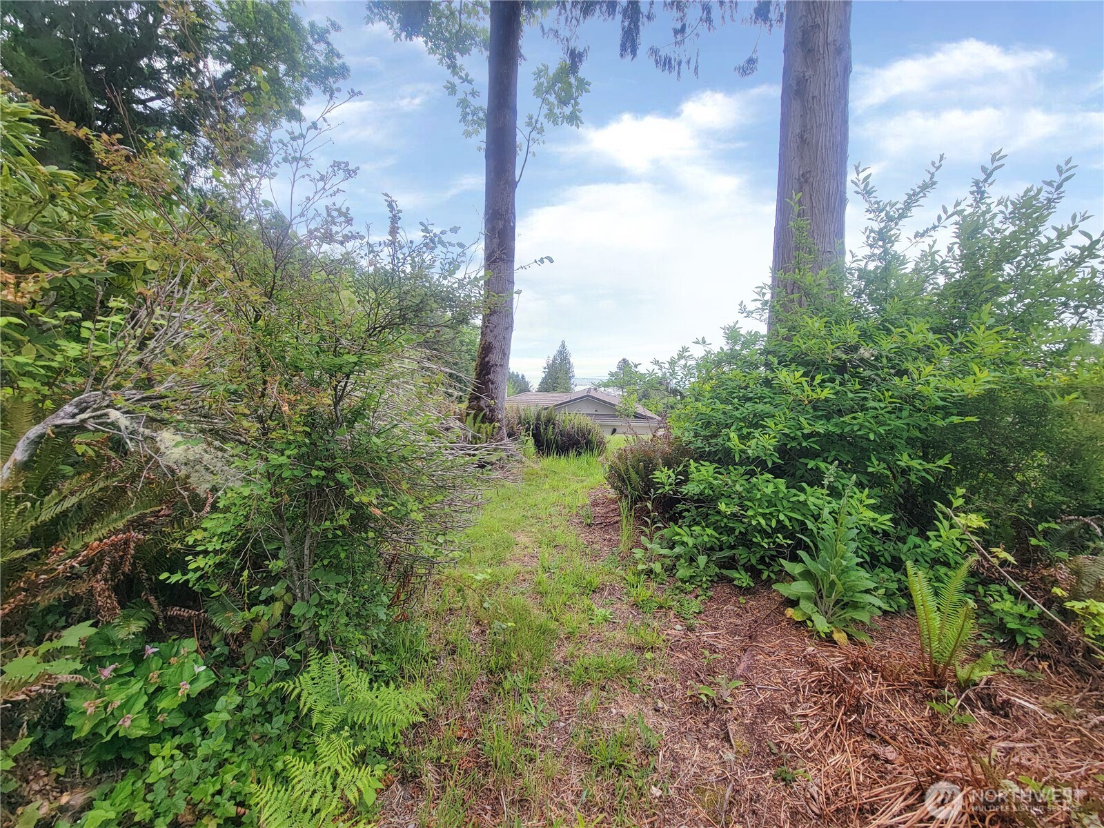101 Fleet Drive Property Photo 11