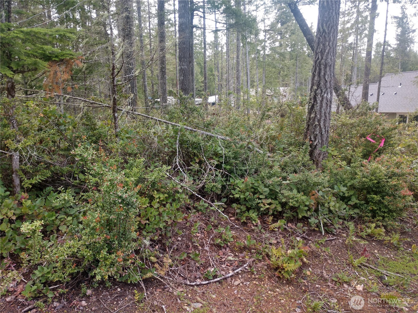 161 E Blackberry Lane Property Photo 2