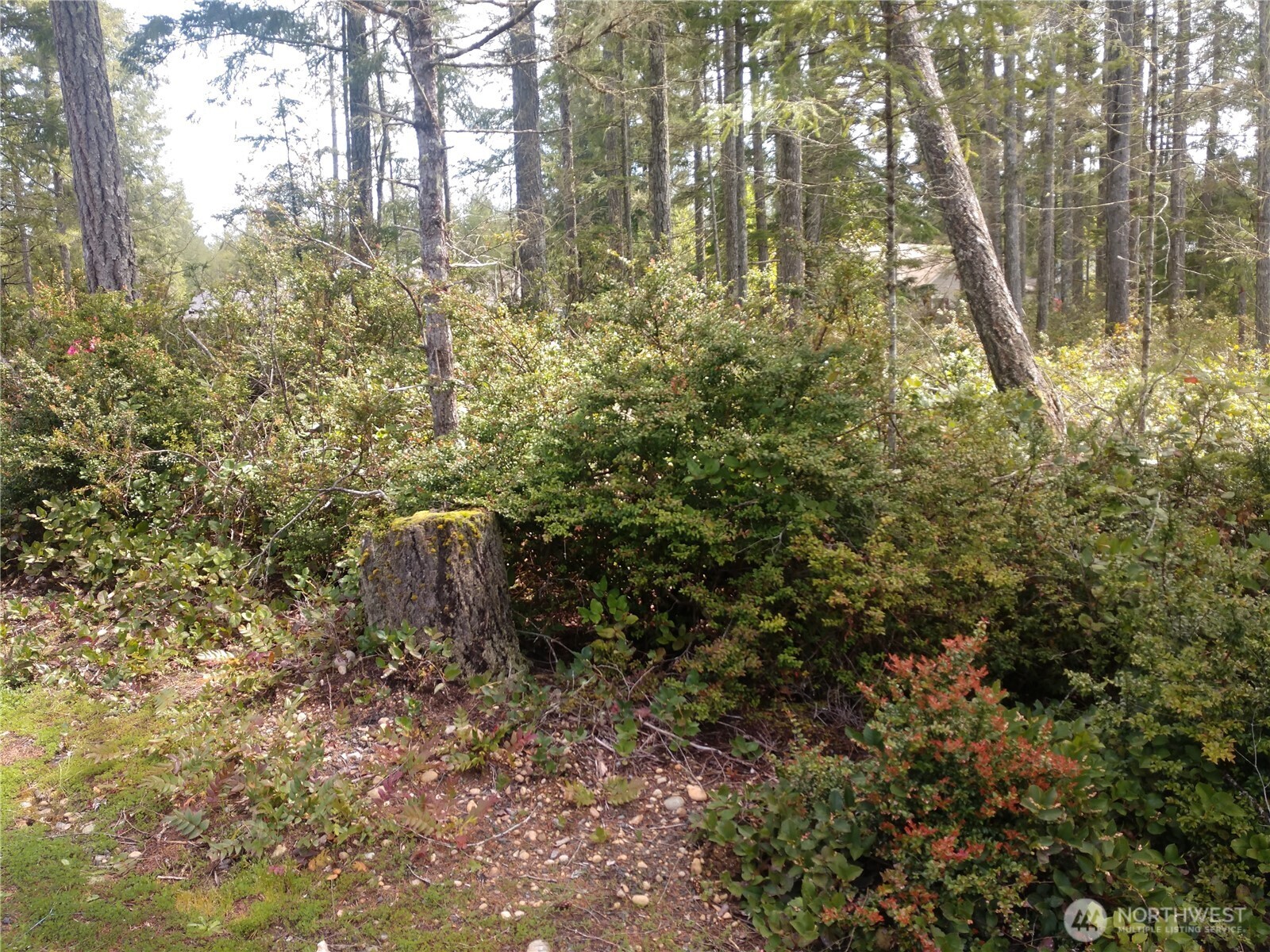 161 E Blackberry Lane Property Photo 3