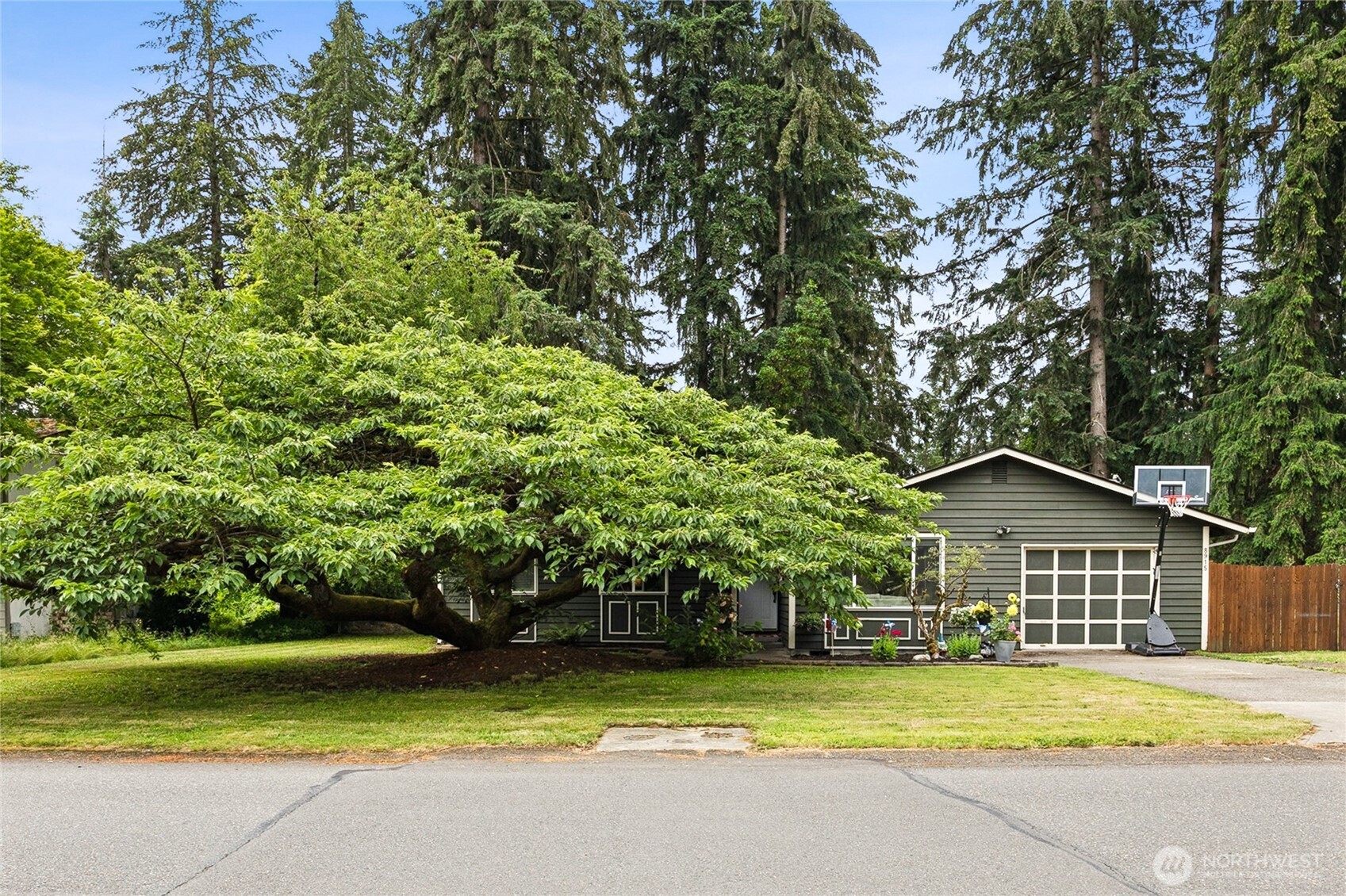 8915 Quinault Drive Property Photo 2