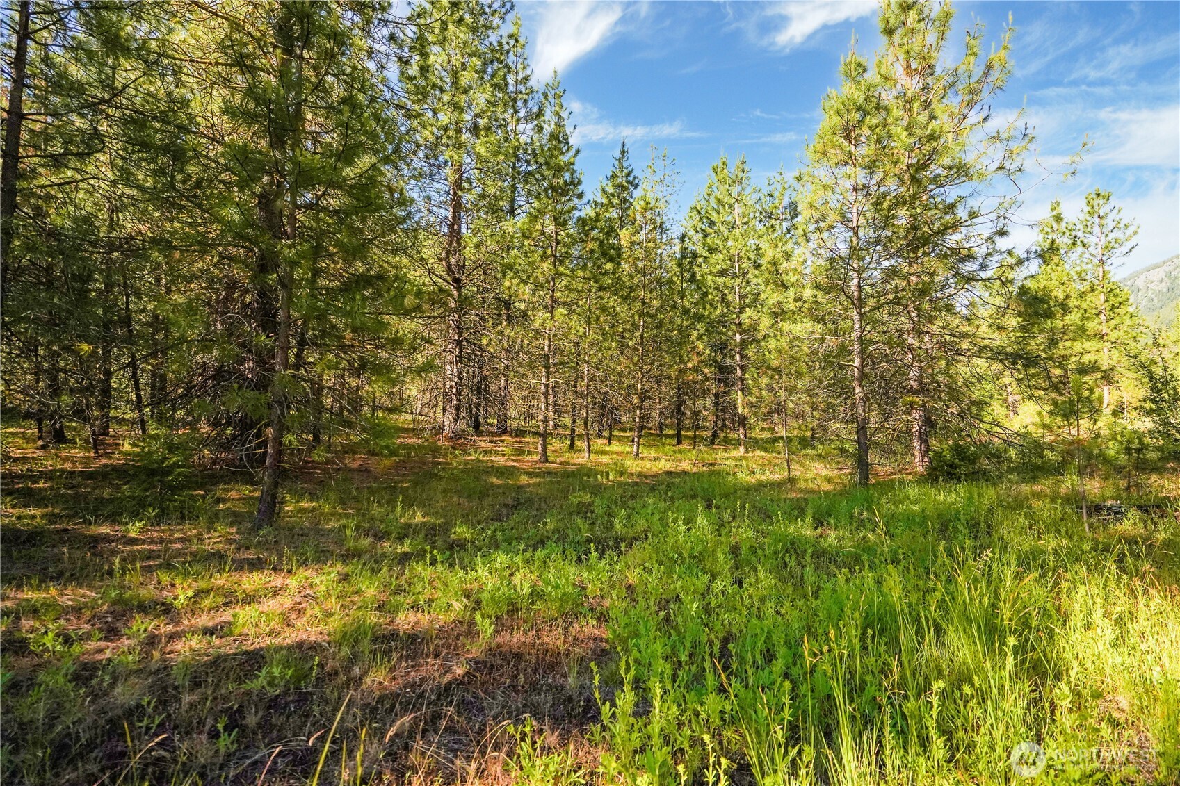 0 Us Hwy 97 Property Photo 10