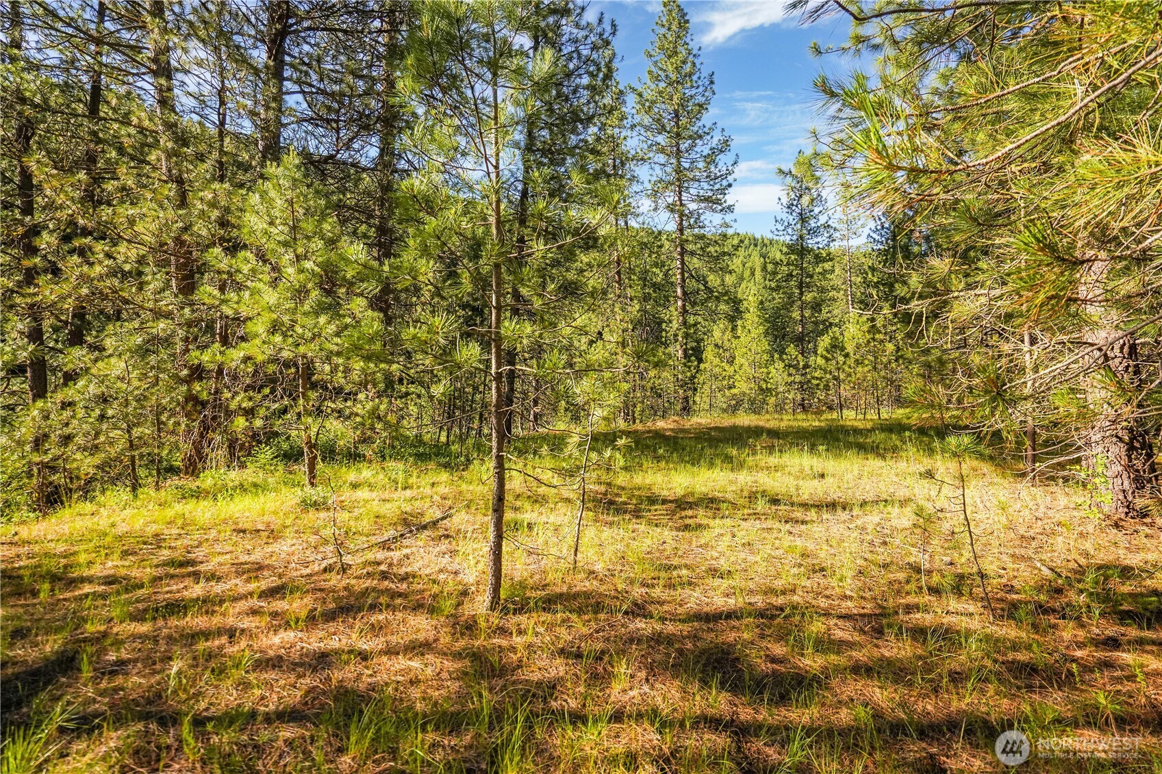 0 Us Hwy 97 Property Photo 11