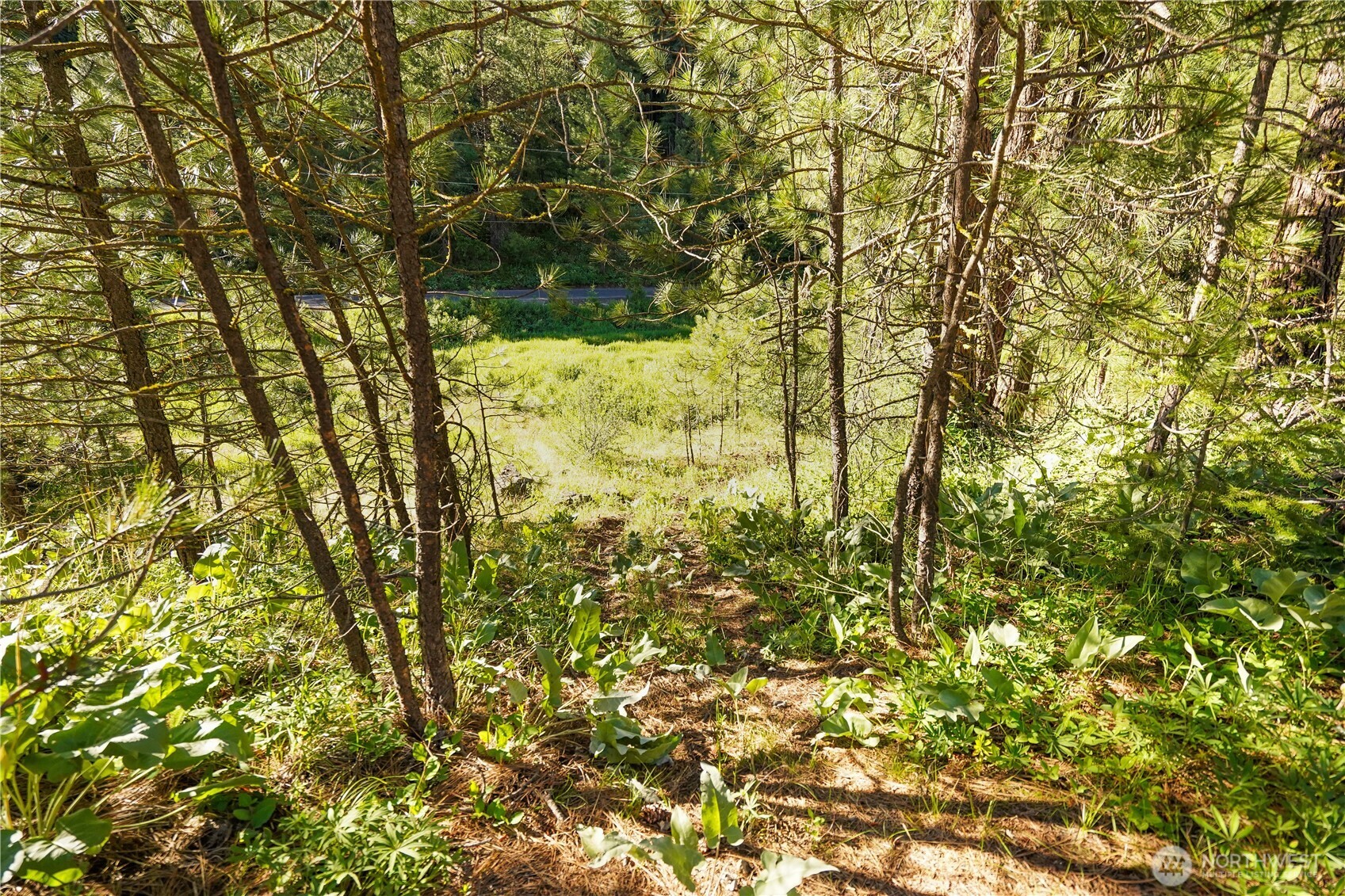 0 Us Hwy 97 Property Photo 12