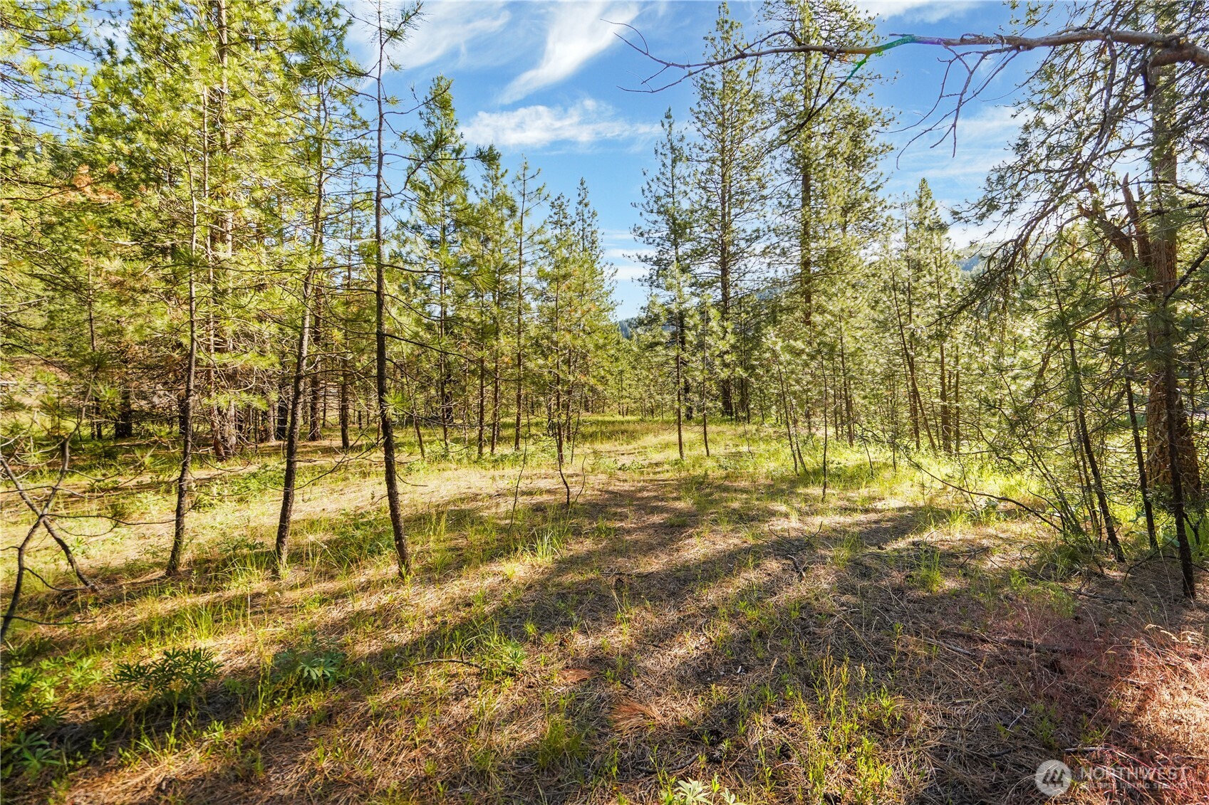 0 Us Hwy 97 Property Photo 13