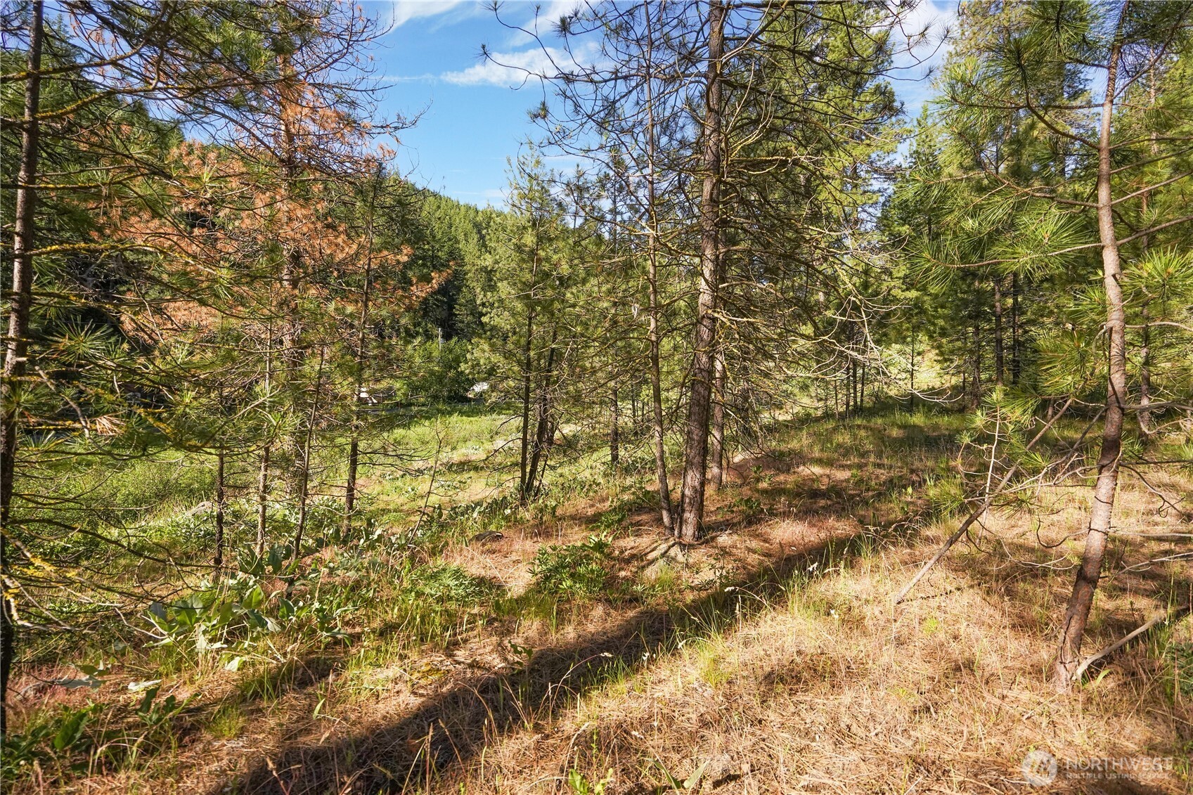 0 Us Hwy 97 Property Photo 14