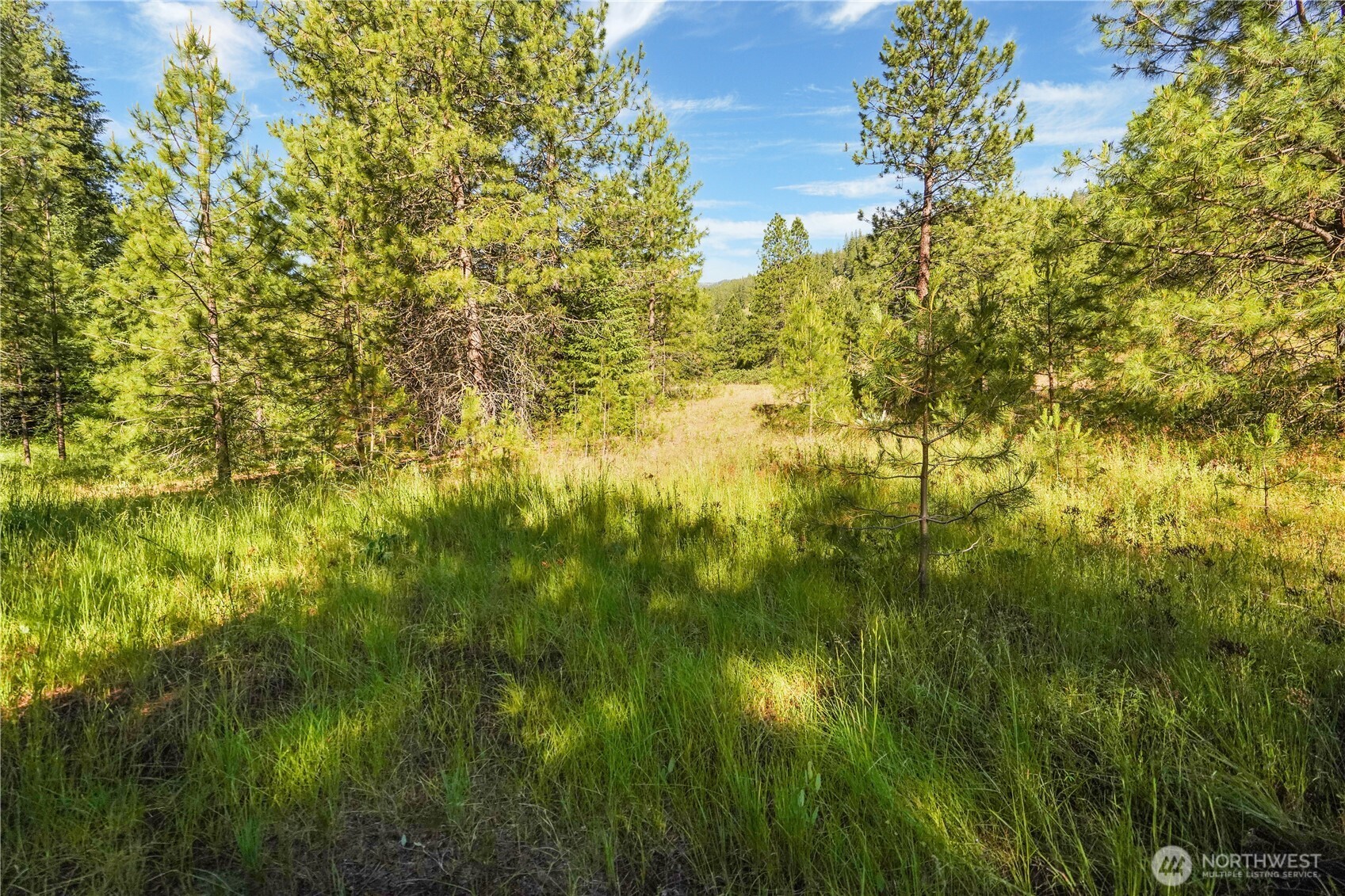 0 Us Hwy 97 Property Photo 15