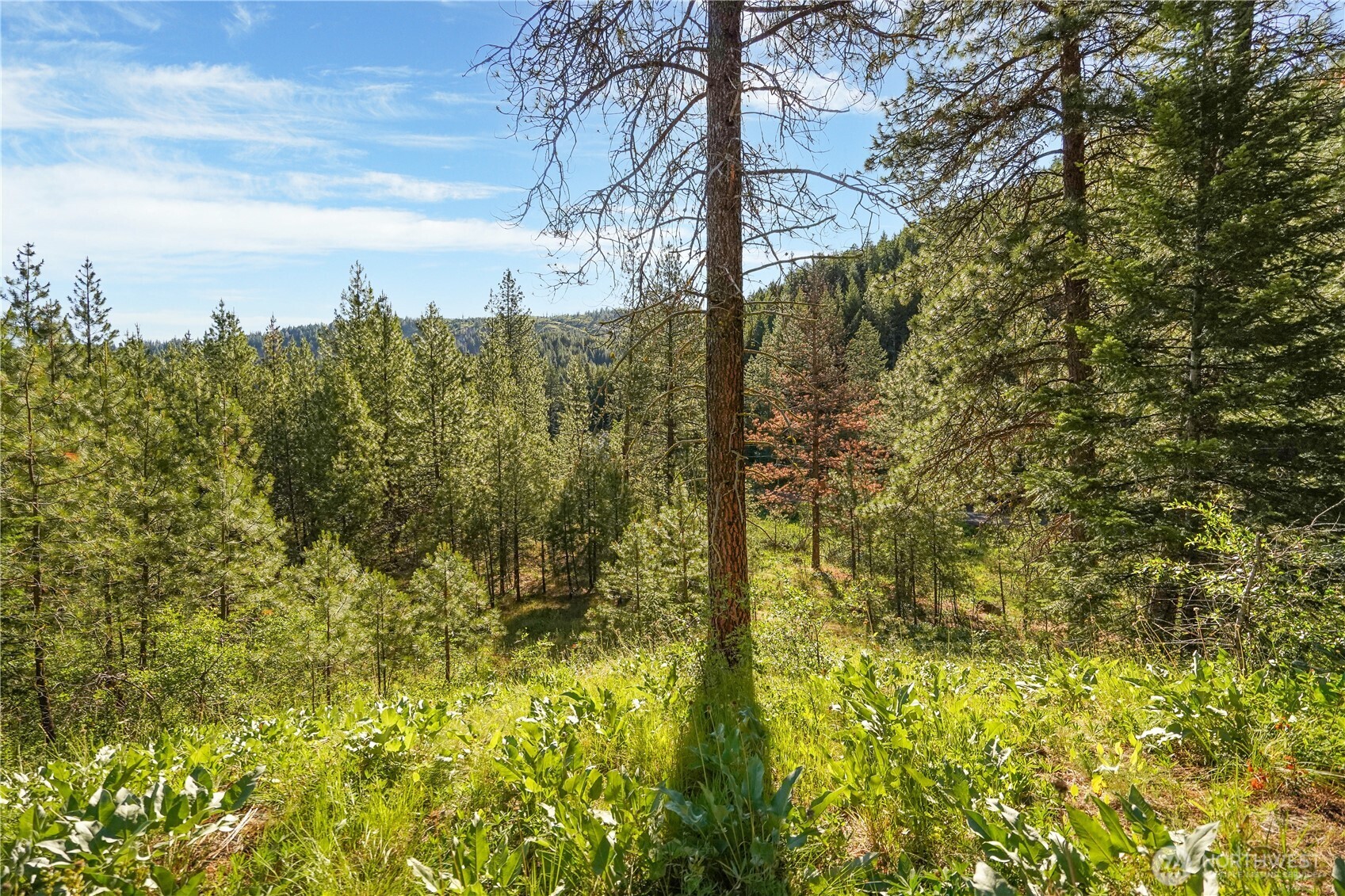 0 Us Hwy 97 Property Photo 16