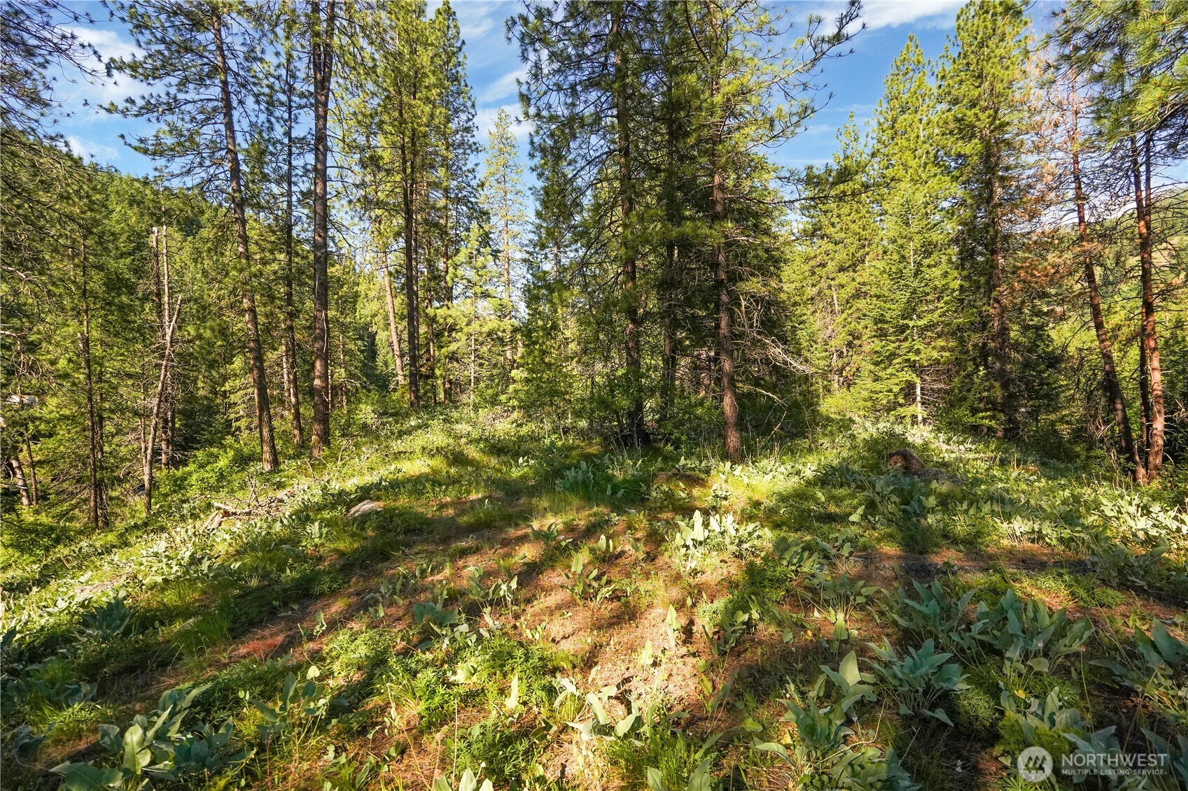 0 Us Hwy 97 Property Photo 17