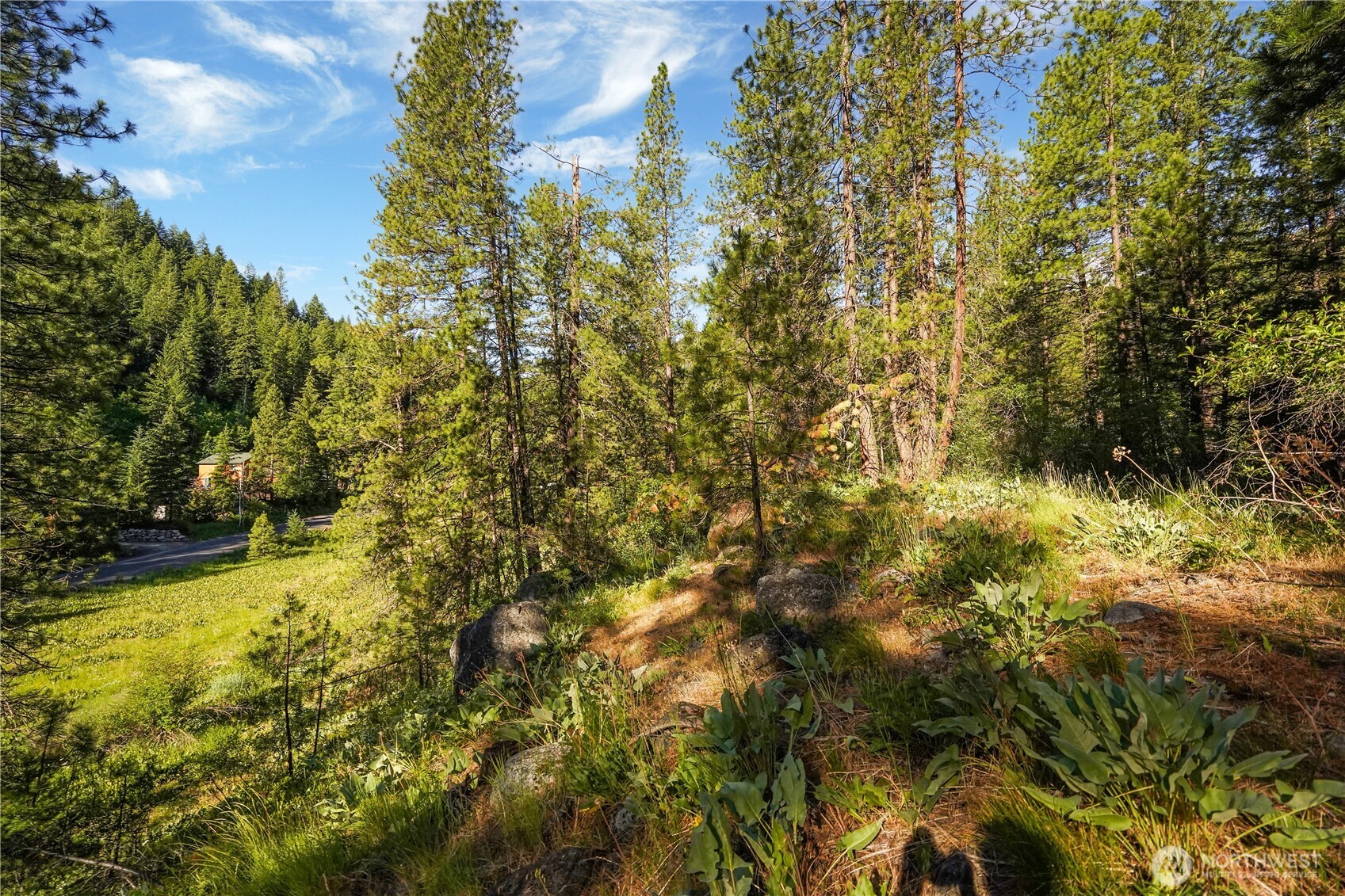 0 Us Hwy 97 Property Photo 20
