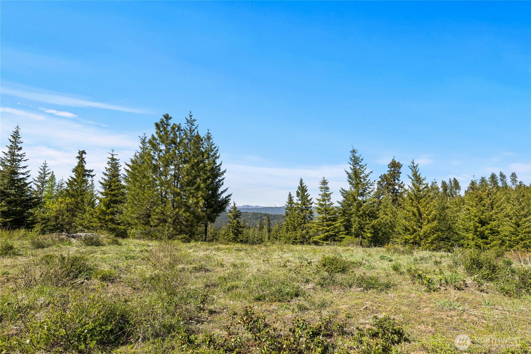 0 Xxxx Stone Ridge Drive Property Photo 10