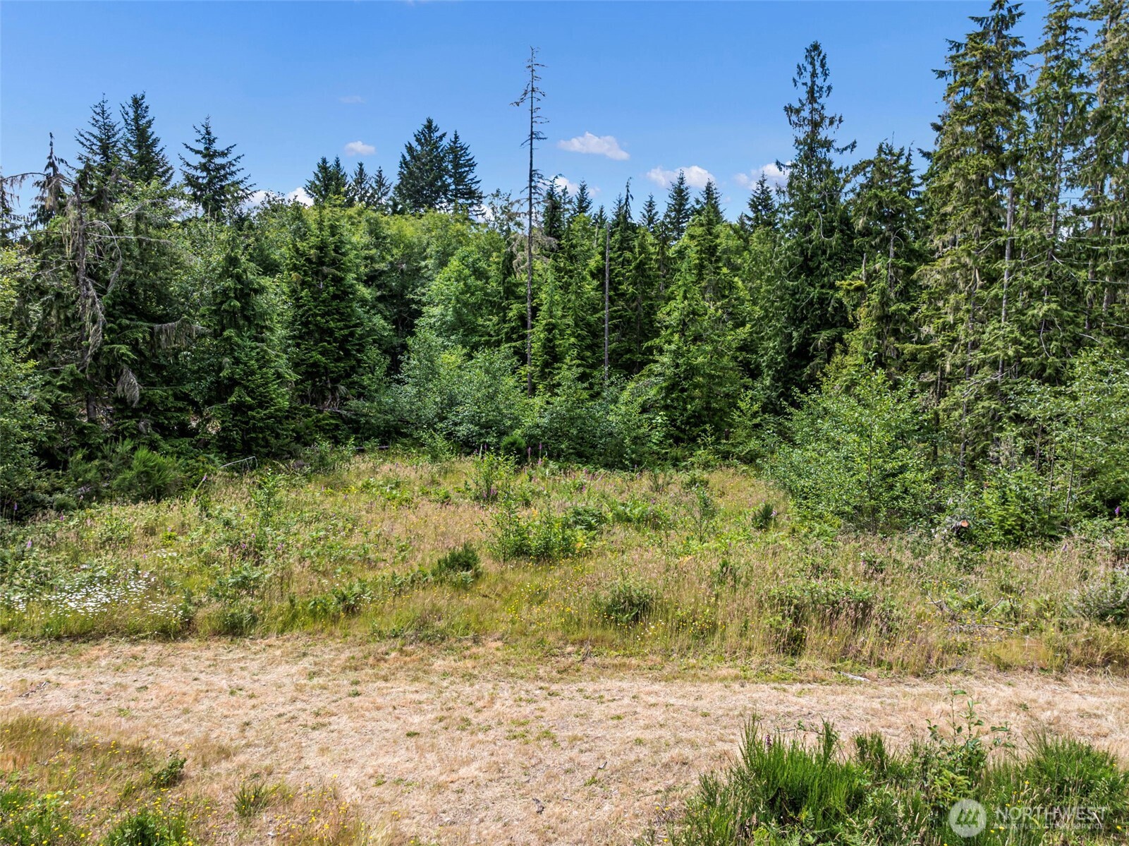 1 Andy Rogers Place Property Photo 4