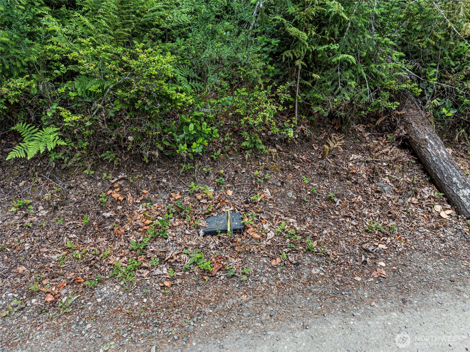 1 Andy Rogers Place Property Photo 6