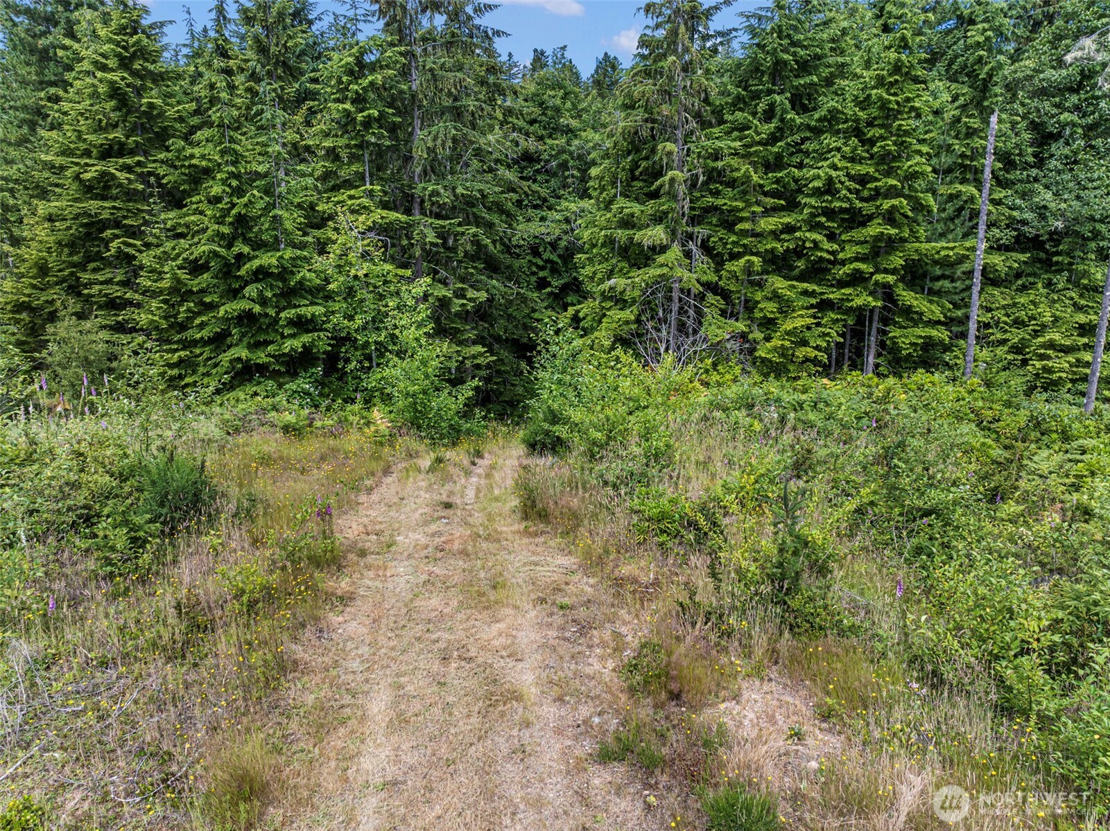 1 Andy Rogers Place Property Photo 7