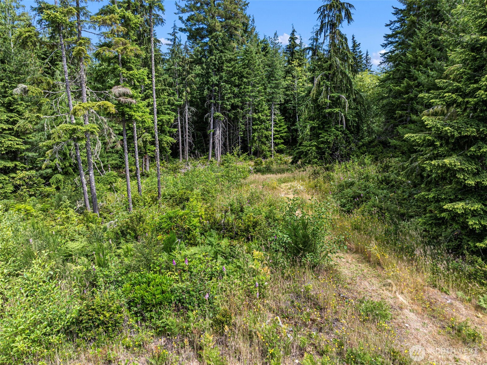1 Andy Rogers Place Property Photo 8