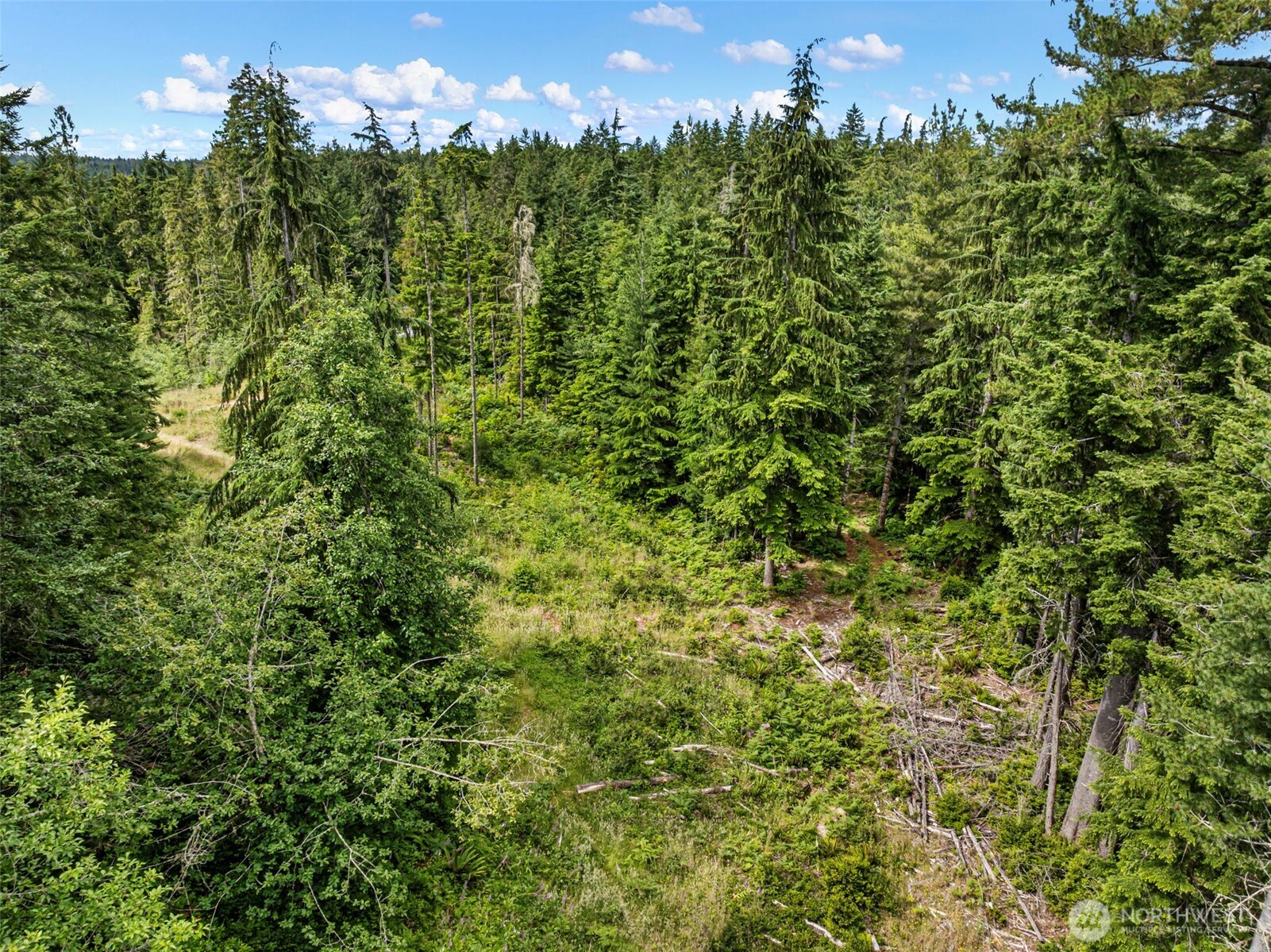 1 Andy Rogers Place Property Photo 14